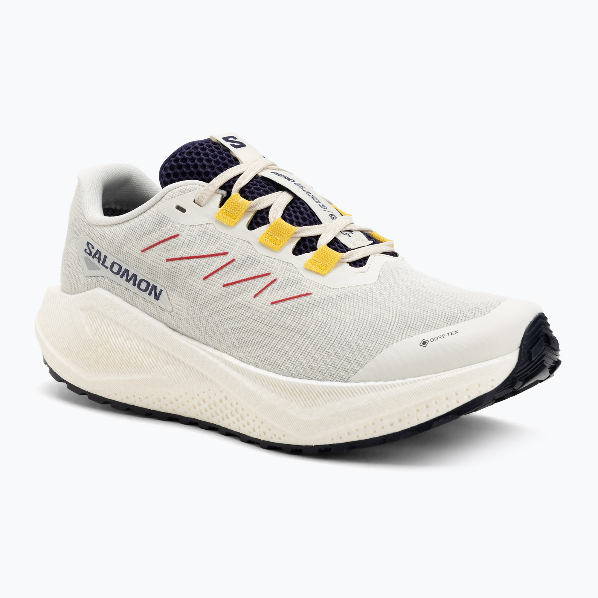 Buty do biegania męskie Salomon Aero Blaze 3 Gravel GTX vanilla ice/astral aura/lemon 
