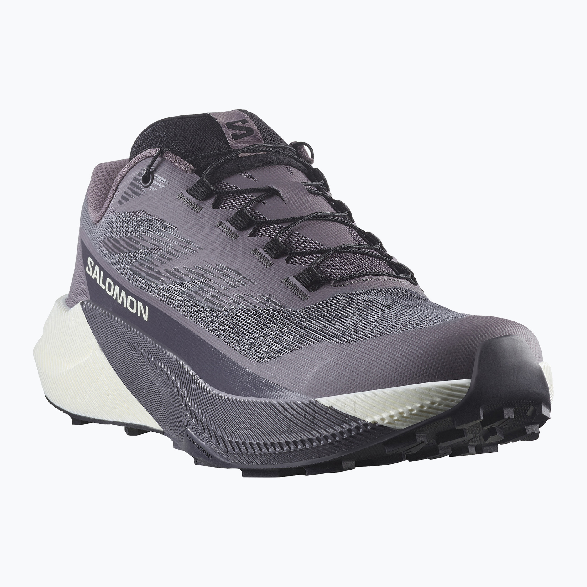Buty do biegania damskie Salomon Pulsar excalibur/vanilla ice/nine iron 