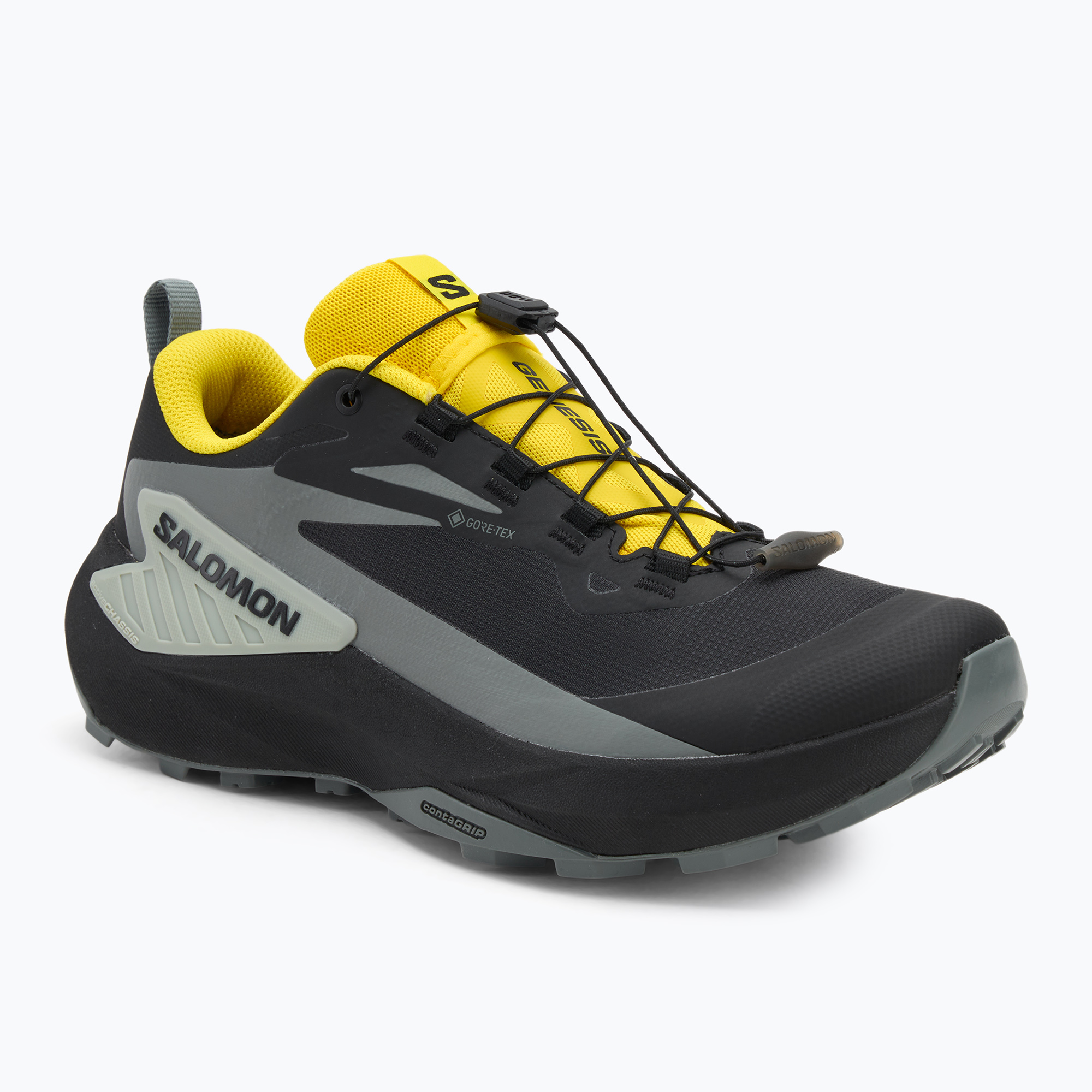 Buty do biegania męskie Salomon Genesis GTX black/sedona sage/incaberry 