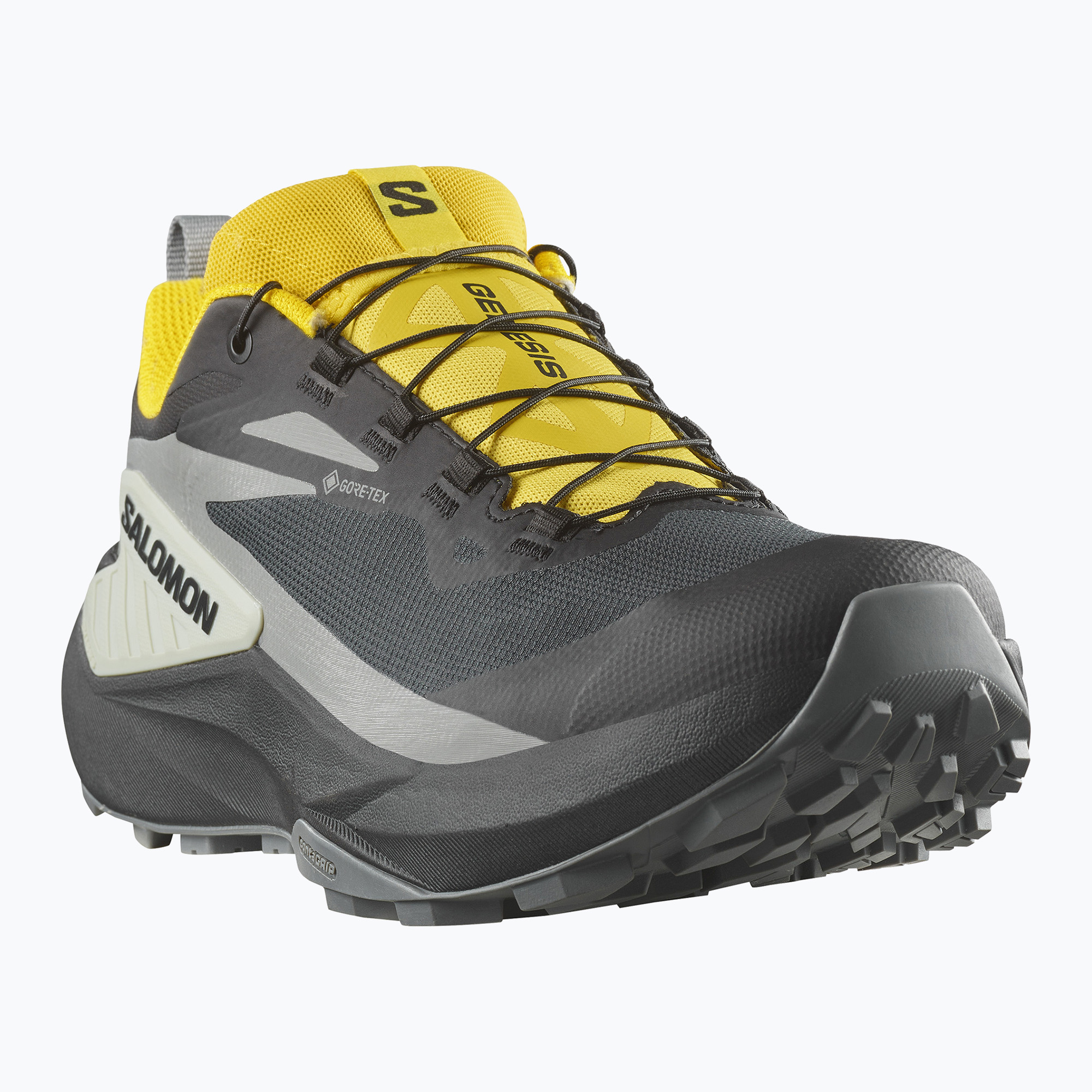 Buty do biegania męskie Salomon Genesis GTX black/sedona sage/incaberry 