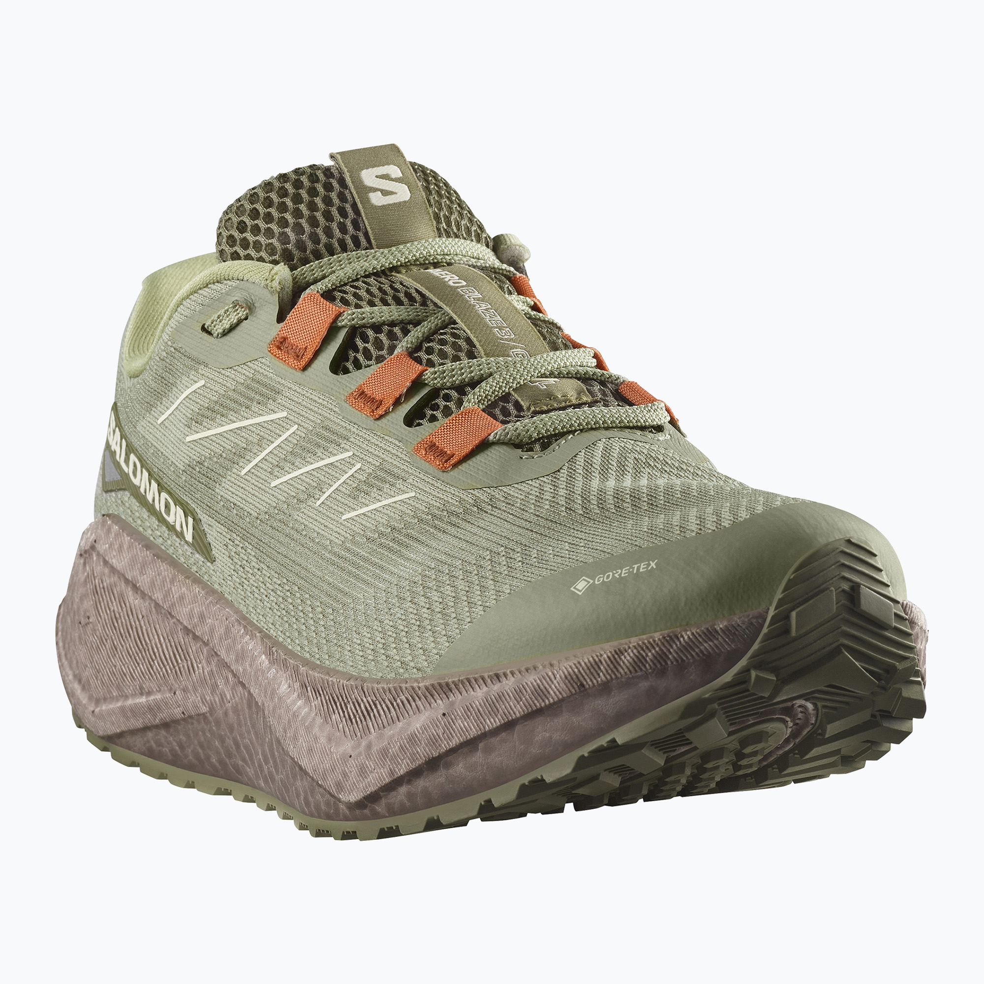 Buty do biegania męskie Salomon Aero Blaze 3 Gravel GTX tea/iron/burnt ochre 