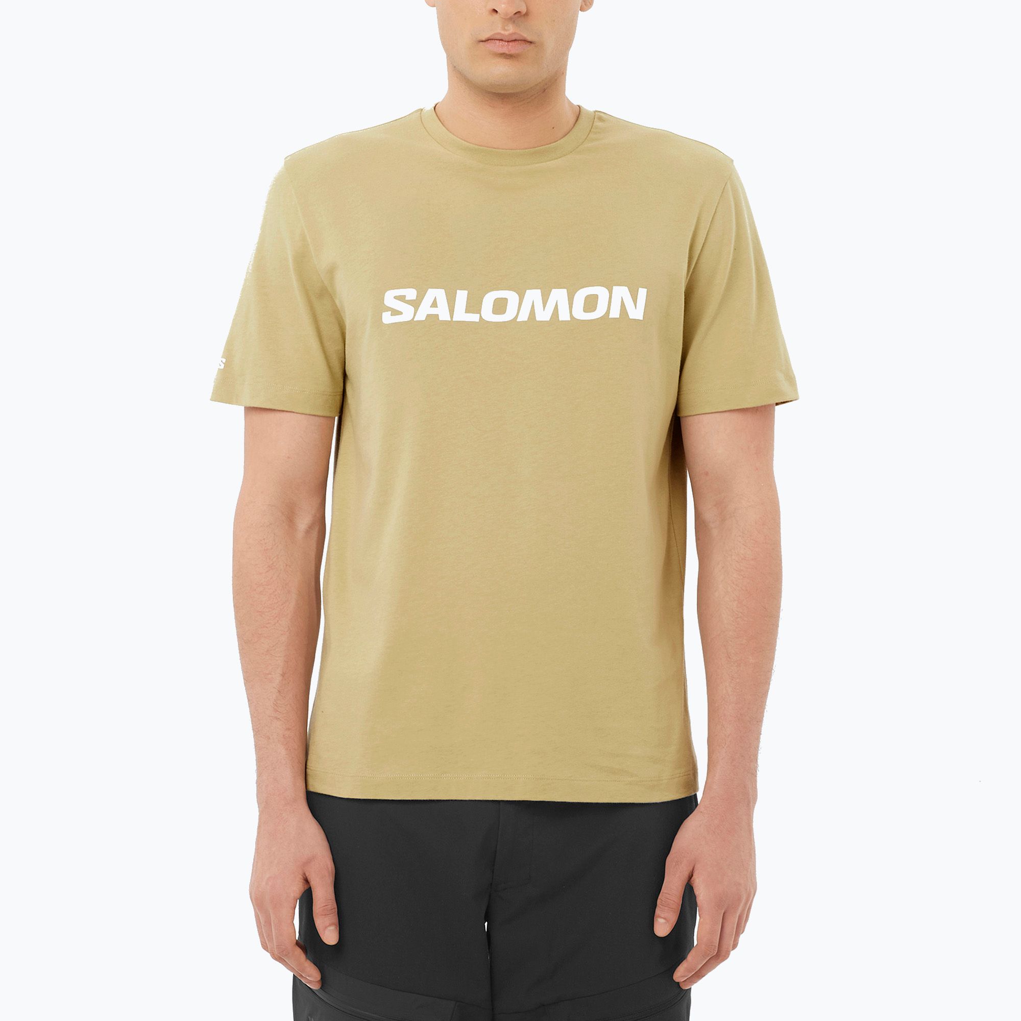Koszulka męska Salomon Logo gray green 