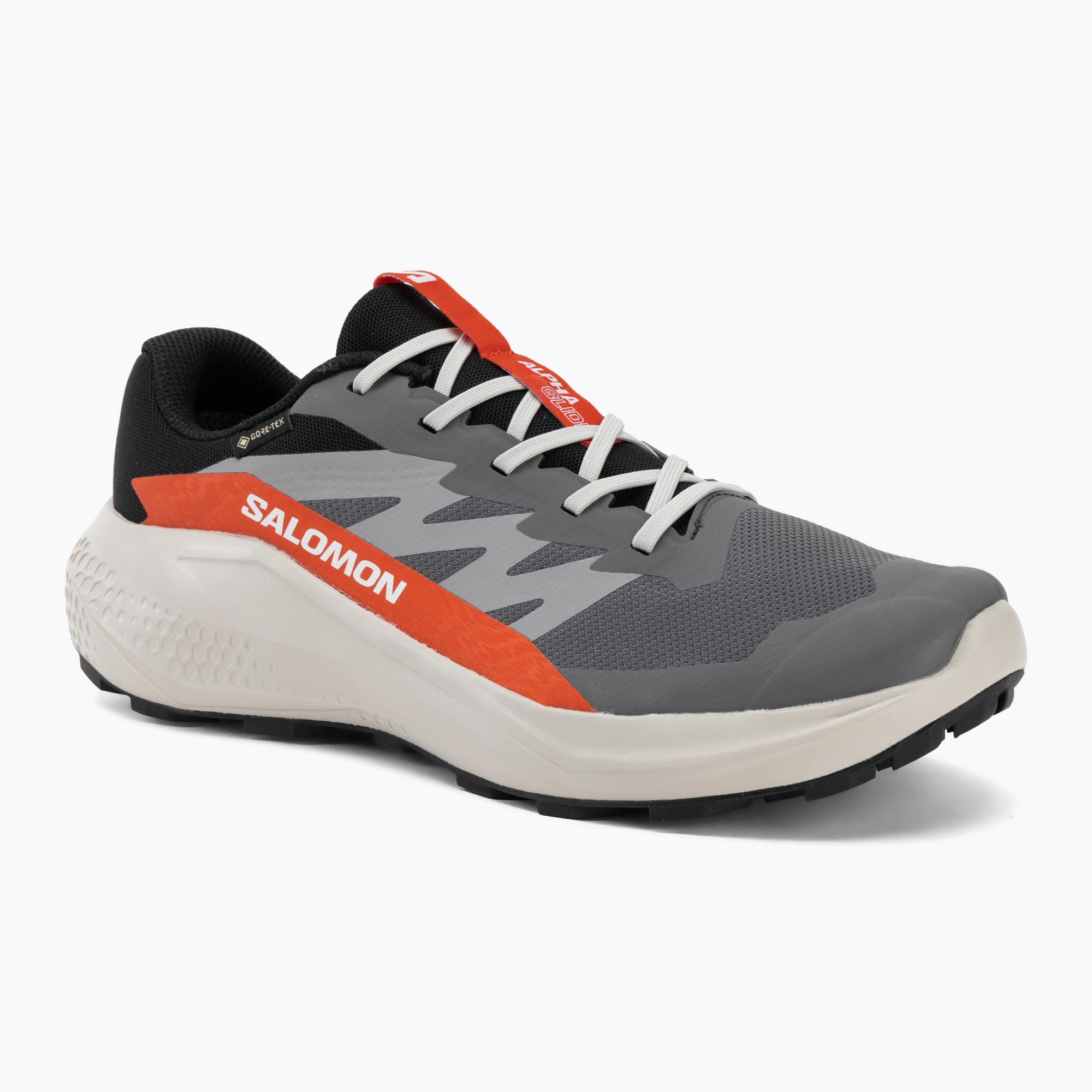 Мъжки обувки за бягане  Salomon Alphaglide GTX castlerock/lunar rock