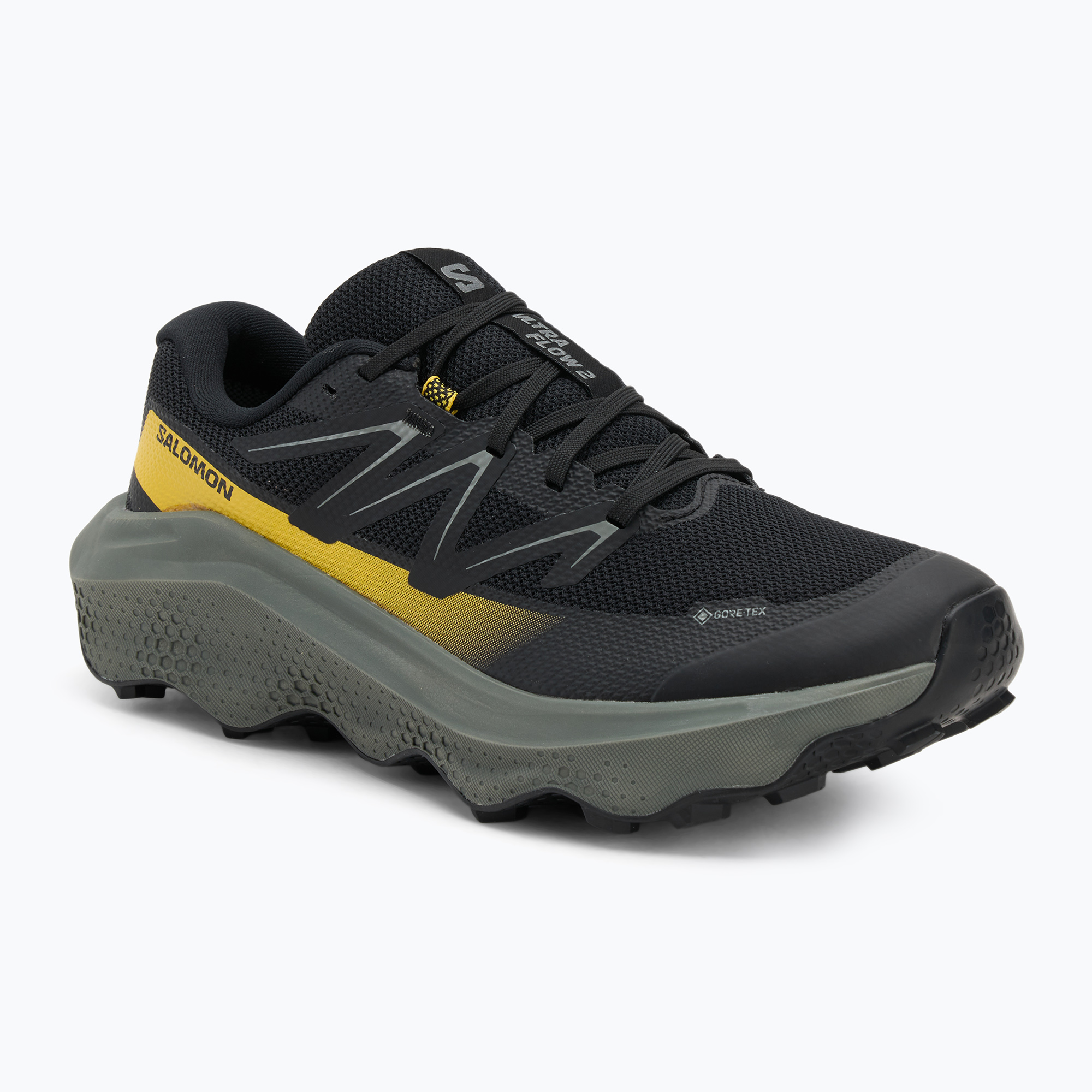 Buty do biegania męskie Salomon Ultra Flow 2 GTX black/sedona sage/incaberry 