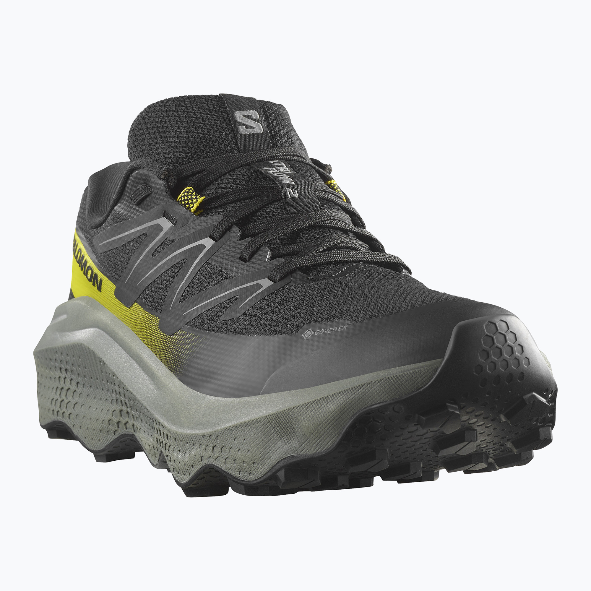 Buty do biegania męskie Salomon Ultra Flow 2 GTX black/sedona sage/incaberry 