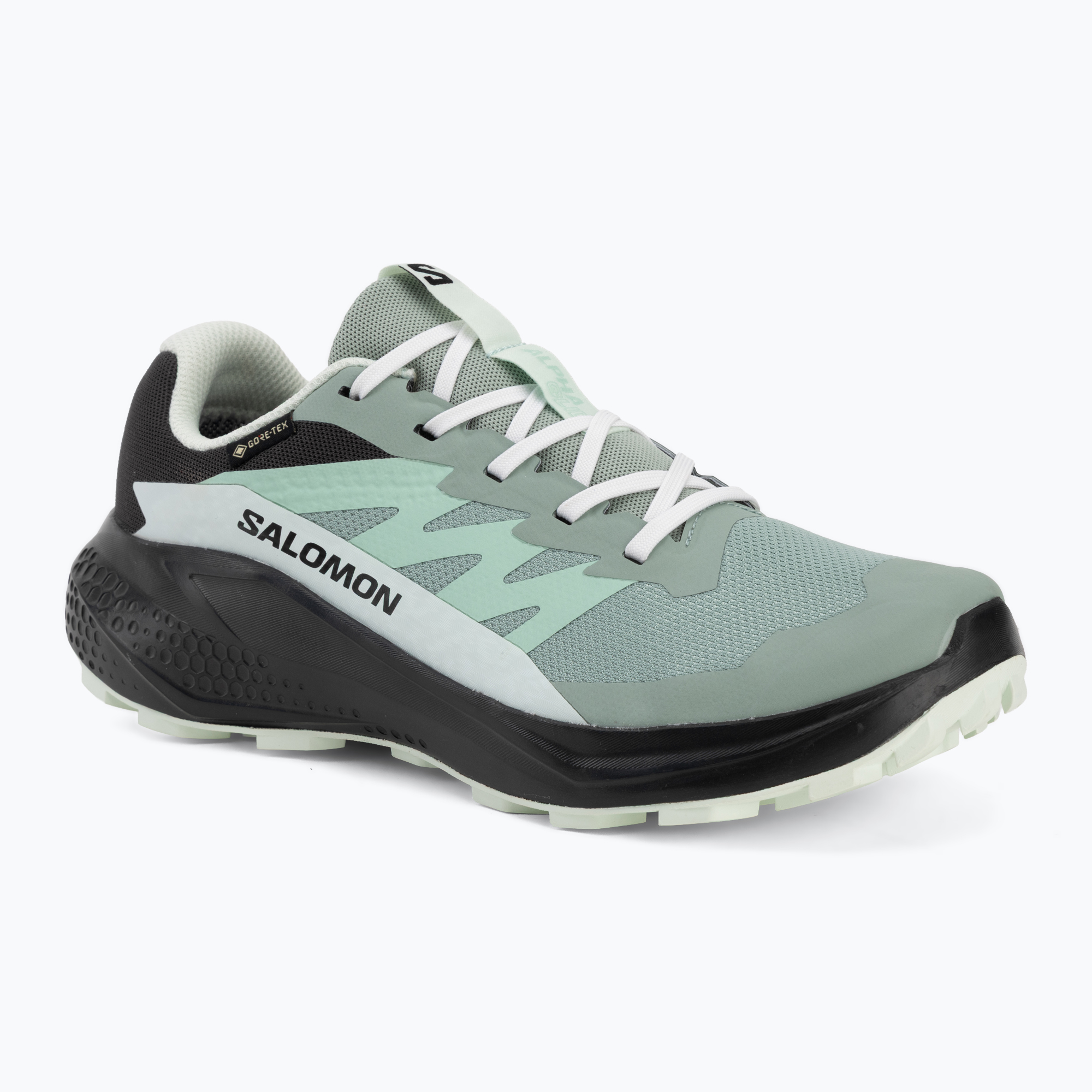 Дамски обувки за бягане Salomon Alphaglide GTX green milieu/asphalt