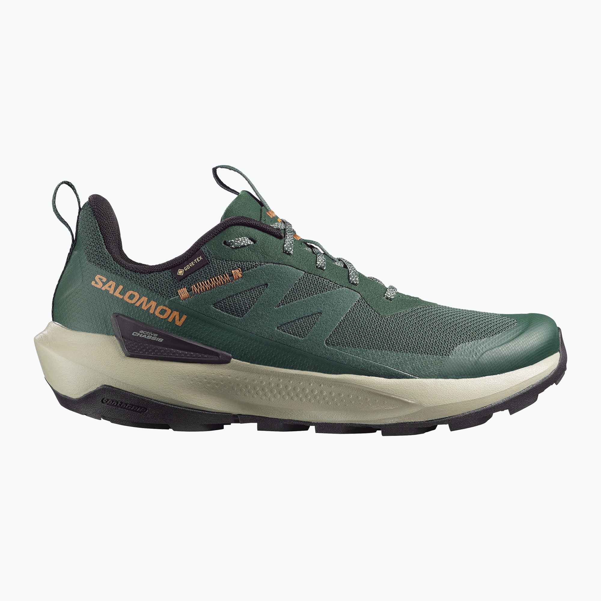 Мъжки туристически обувки Salomon Elixir Activ GTX scarab/green gable