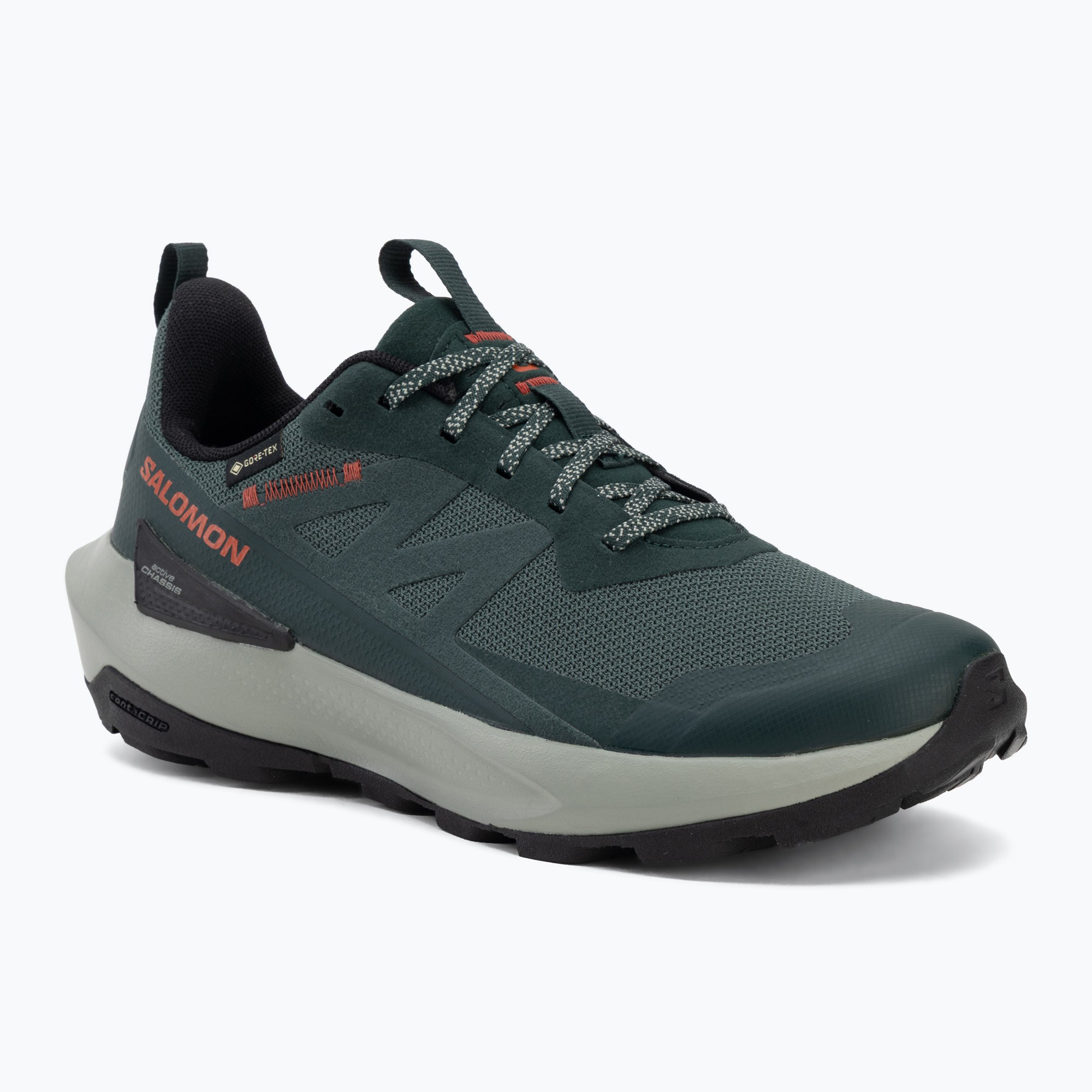 Мъжки туристически обувки Salomon Elixir Activ GTX scarab/green gable