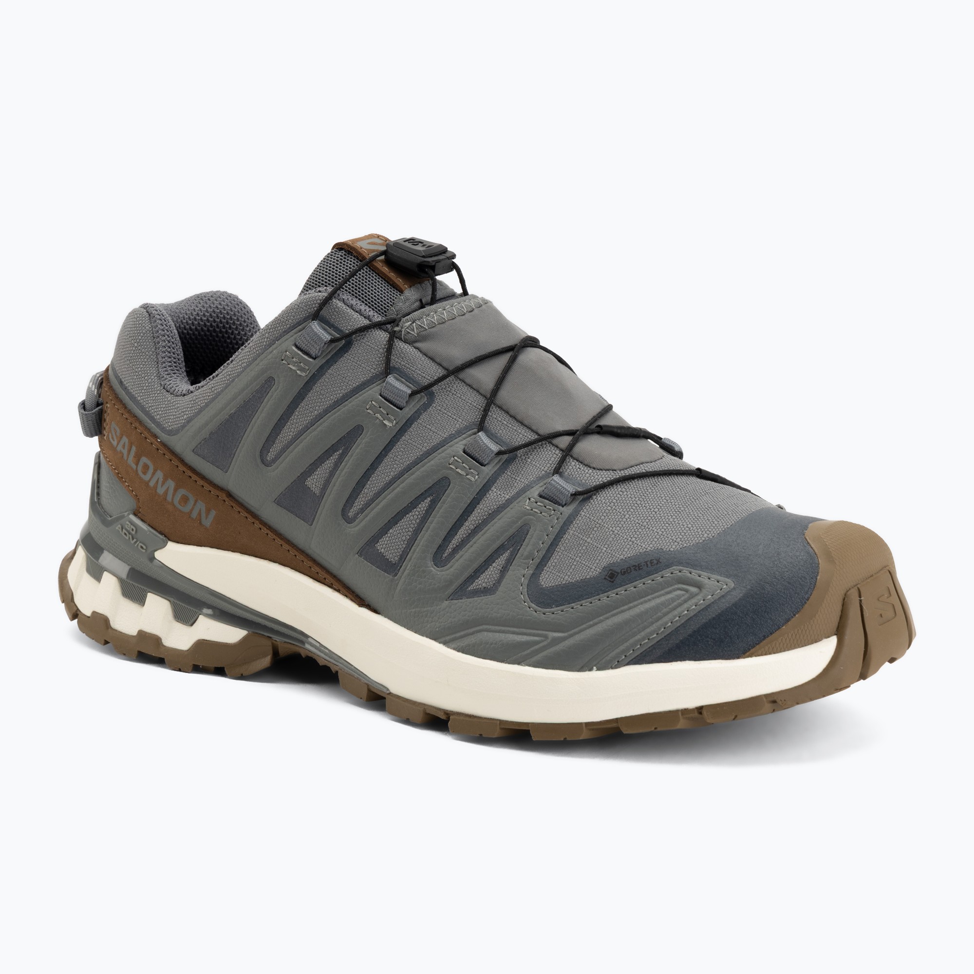 Buty do biegania męskie Salomon XA Pro 3D V9 GTX Lifelong sedona sage/coyote brown 
