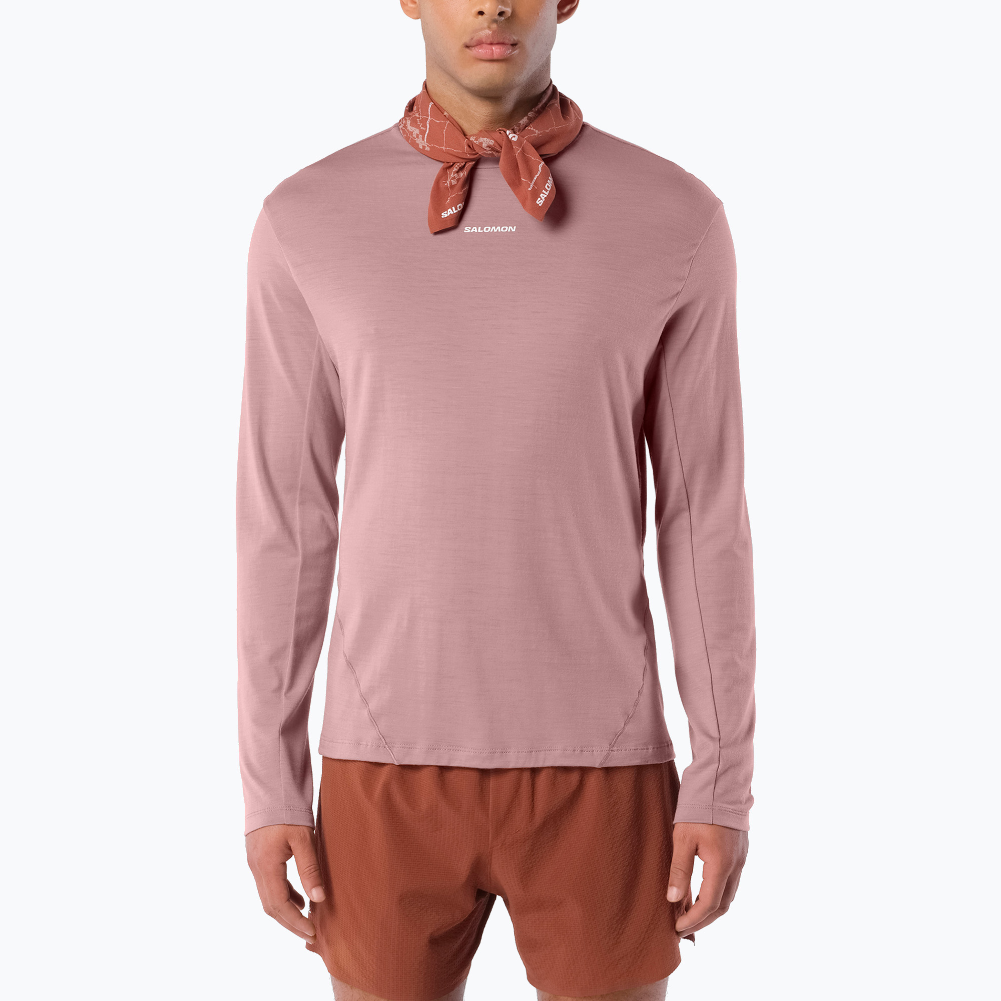 Мъжка блуза за бягане с дълъг ръкав Salomon Sense Merino Tee LS antler
