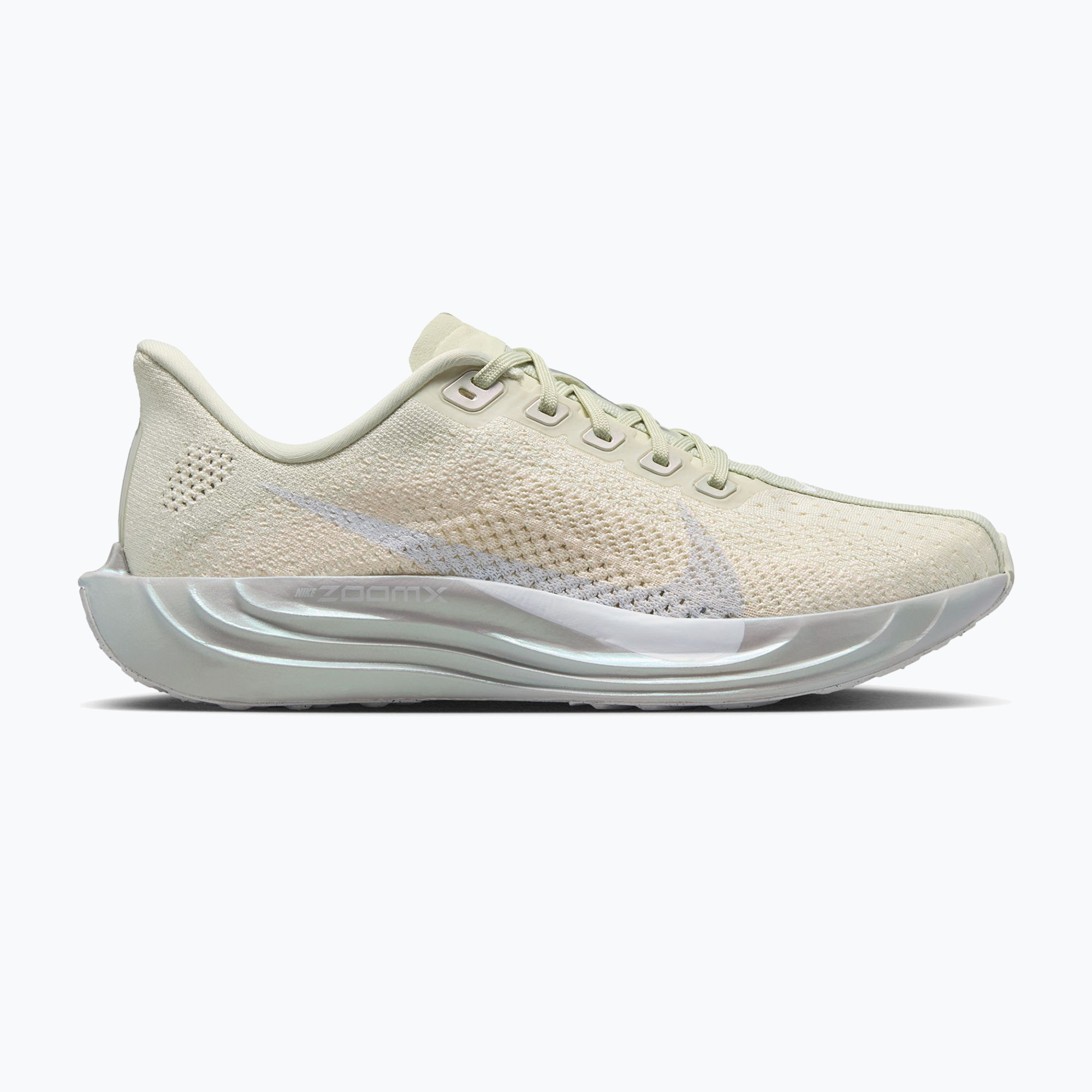 Buty do biegania męskie Nike Pegasus Plus ESS sea glass/chalk/pure platinum/white