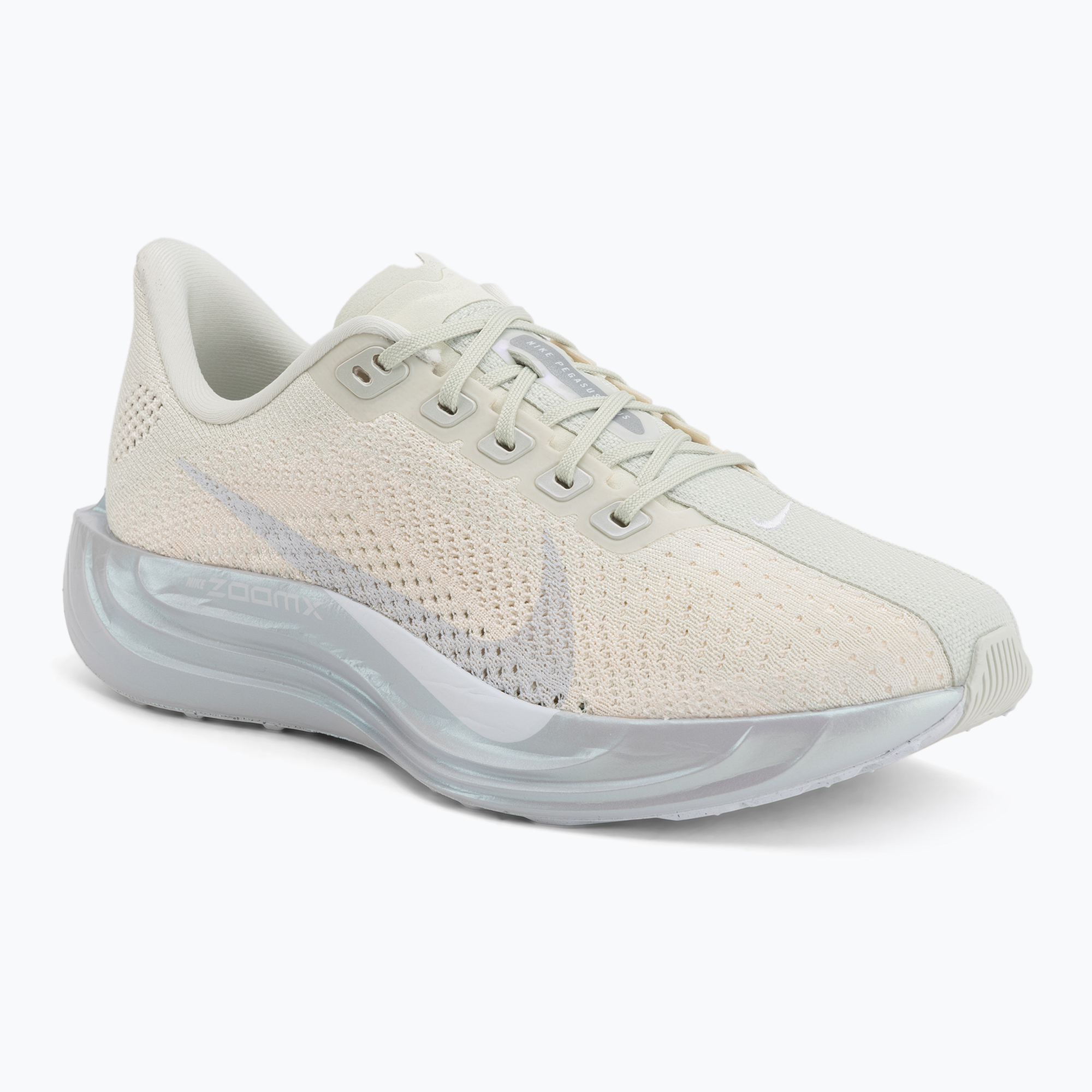 Buty do biegania męskie Nike Pegasus Plus ESS sea glass/chalk/pure platinum/white 