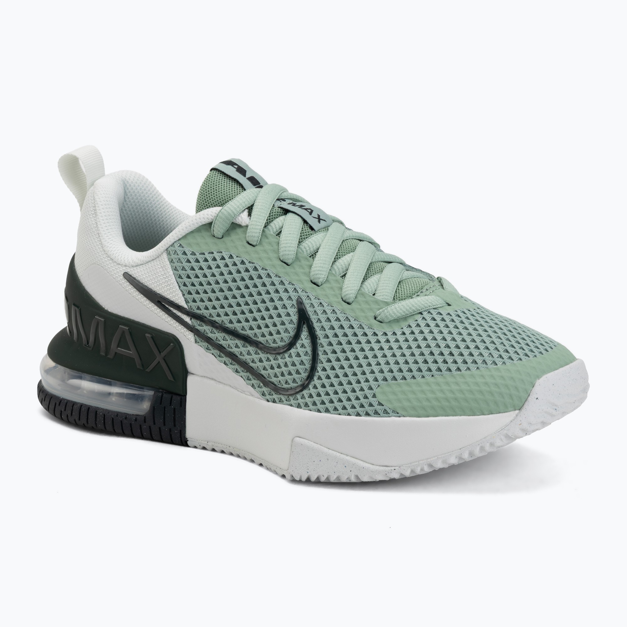 Buty treningowe męskie Nike Air Max Alpha Trainer 6 steam/spruce aura/off white/black spruce