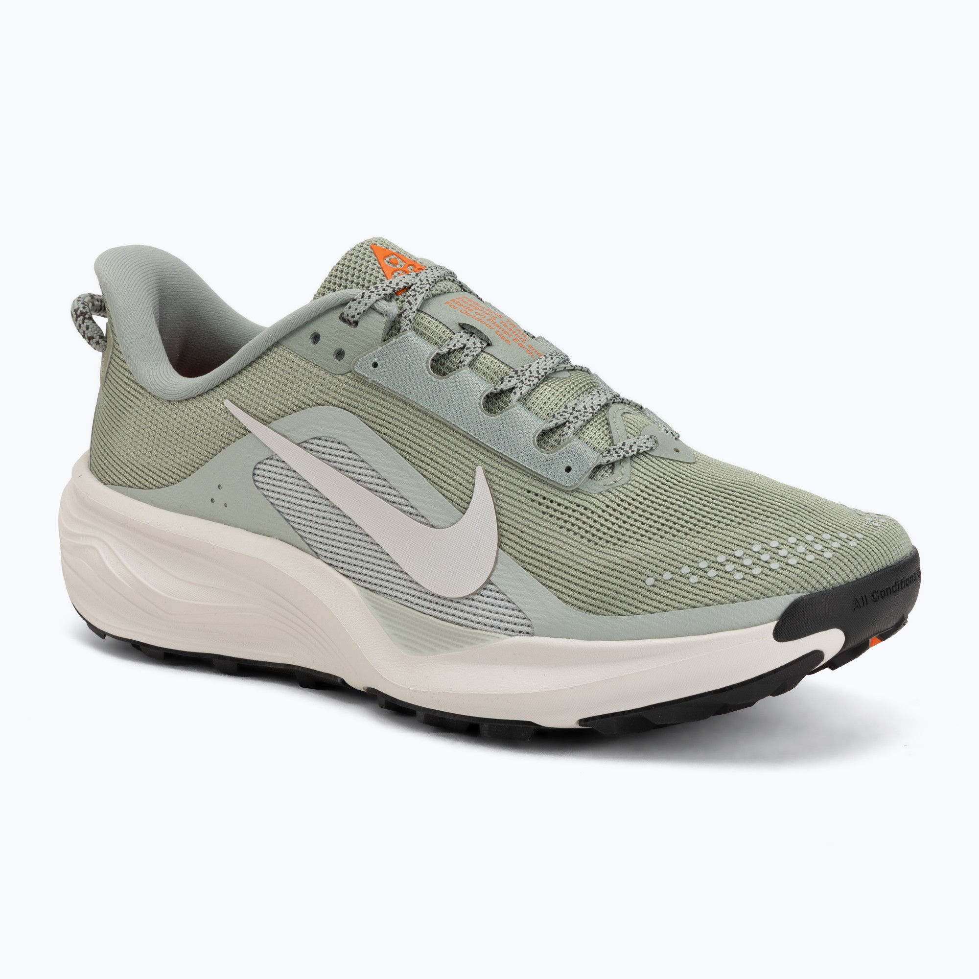 Dámske bežecké topánky Nike ACG Pegasus Trail jade horizon/light silver/phantom