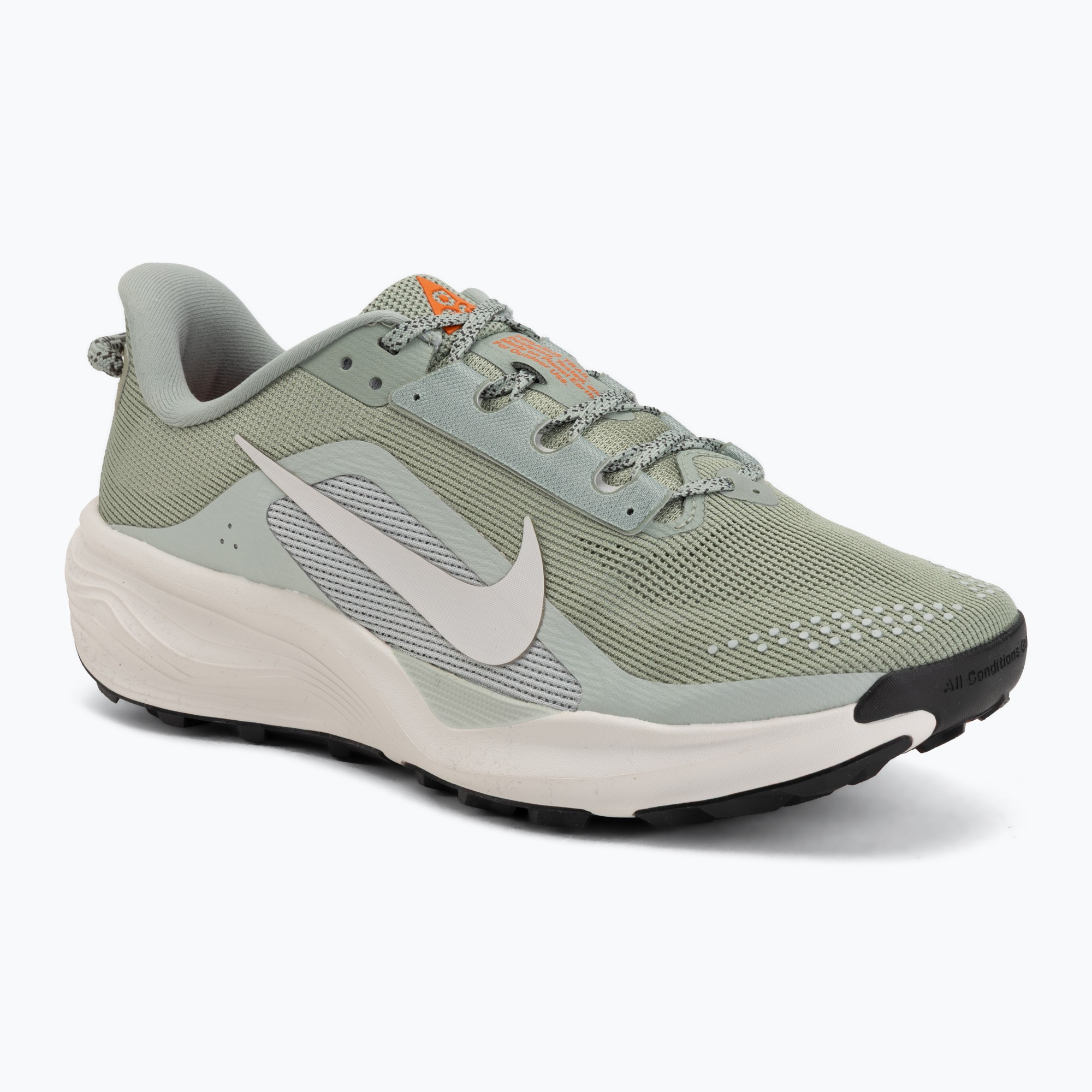 Мъжки обувки за бягане Nike ACG Pegasus Trail jade horizon/light silver/phantom