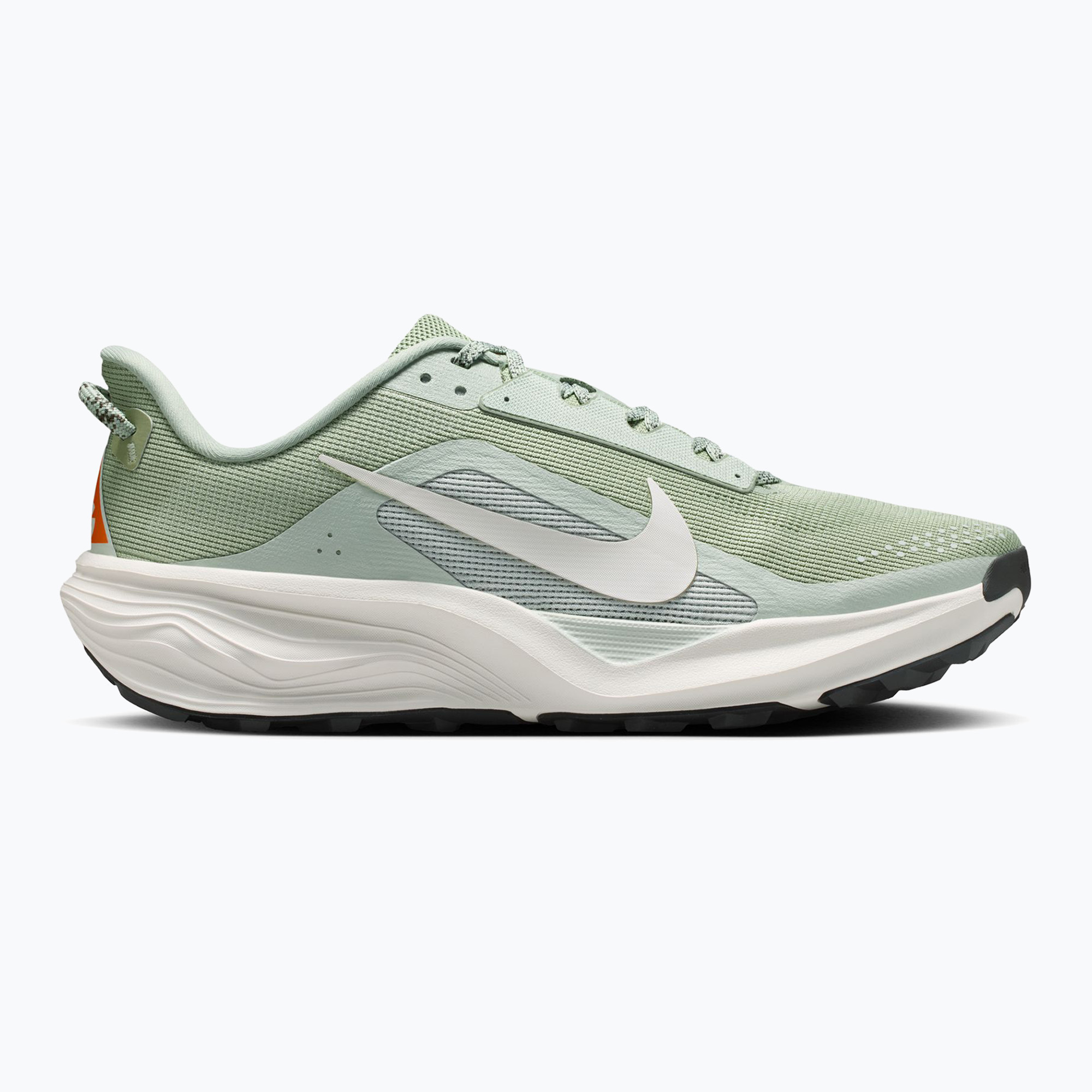 Buty do biegania męskie Nike ACG Pegasus Trail jade horizon/light silver/phantom 