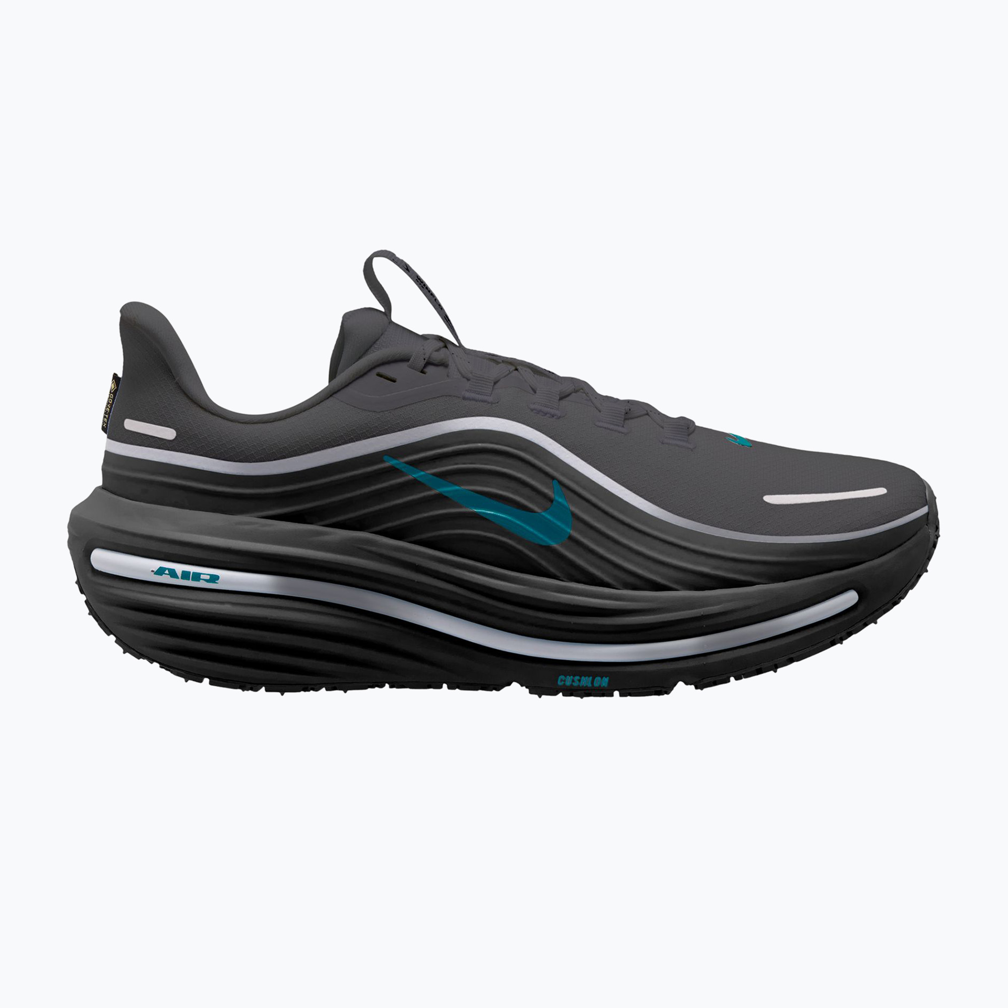 Мъжки обувки за бягане  Nike Winflo 12 GORE-TEX anthracite/black/bright spruce
