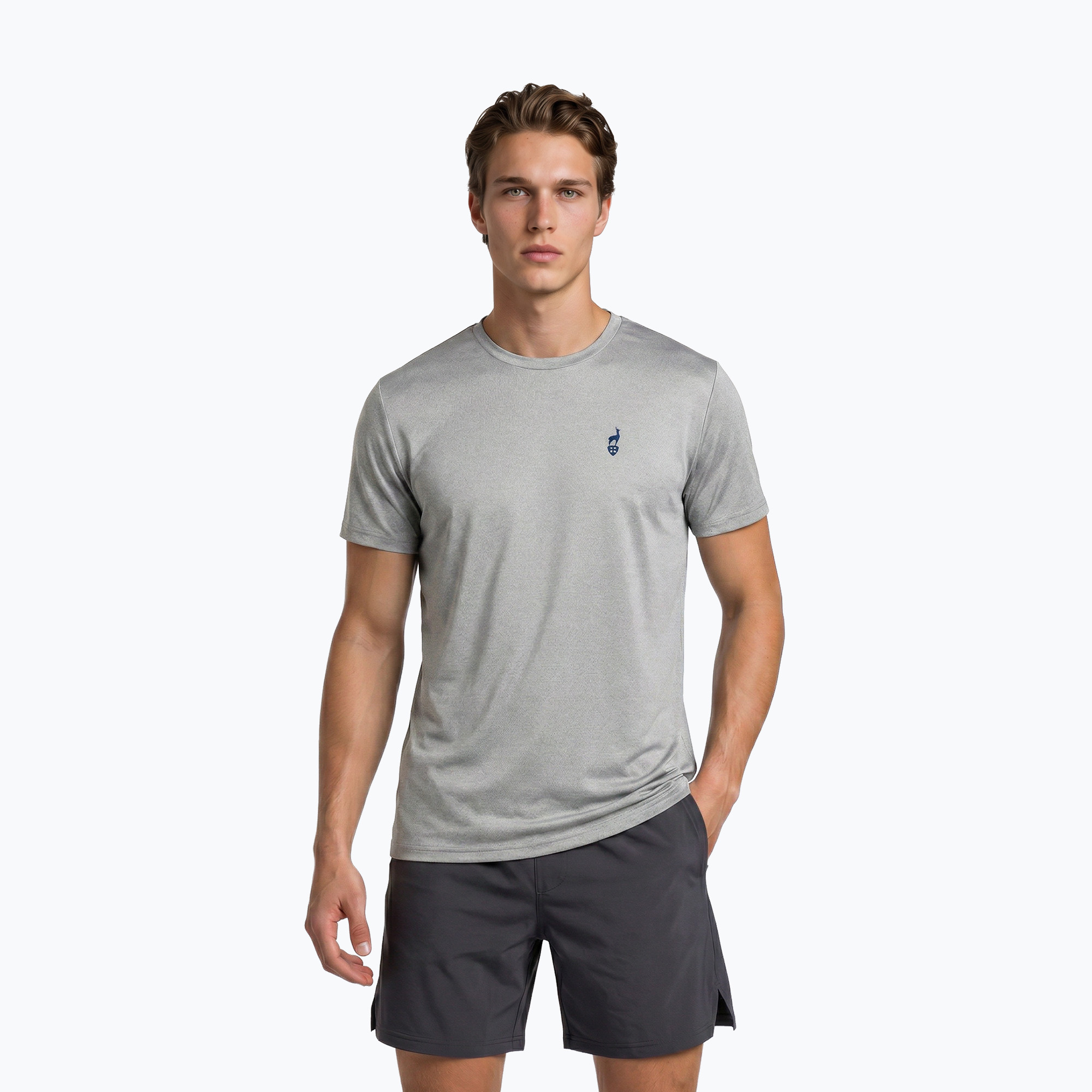Tricou pentru bărbați Aulp Tommy grey/melange