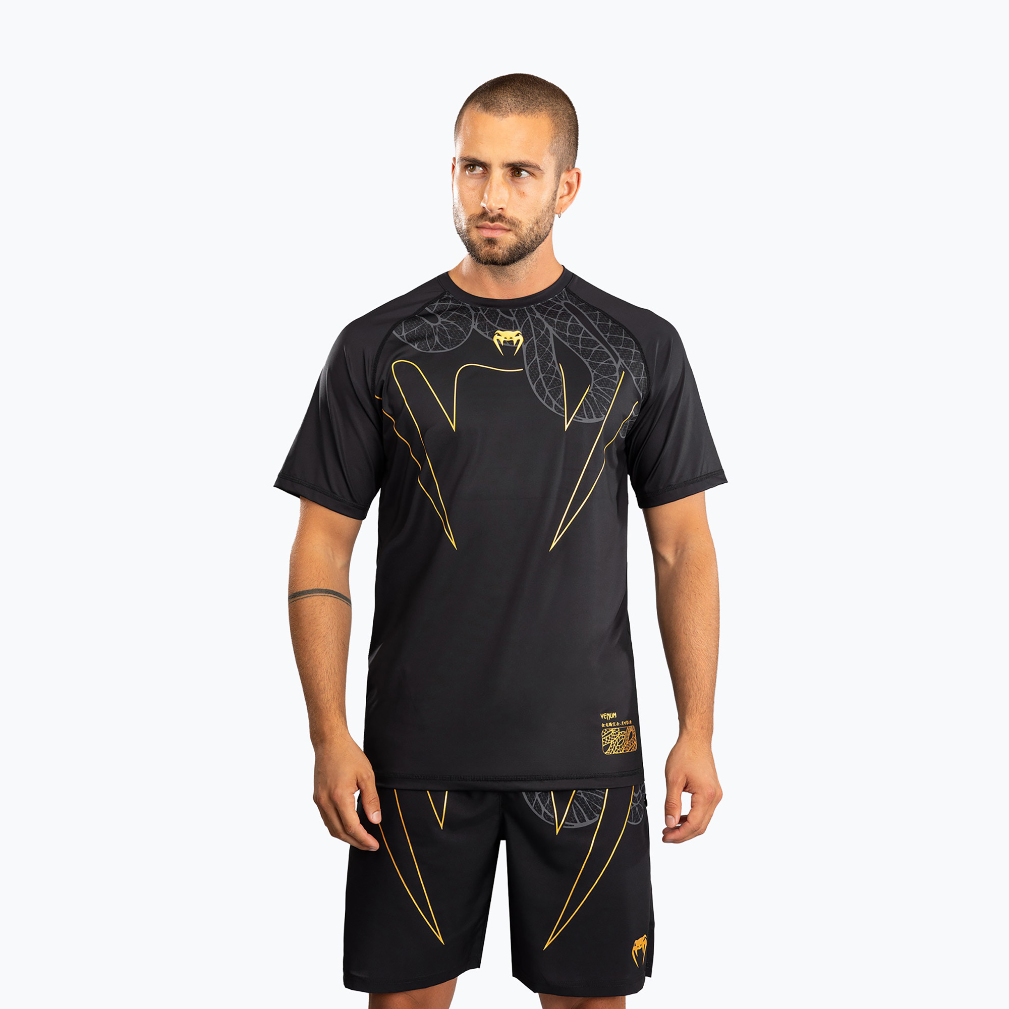 Koszulka treningowa męska Venum Serpenti Dry Tech black/silver/gold 