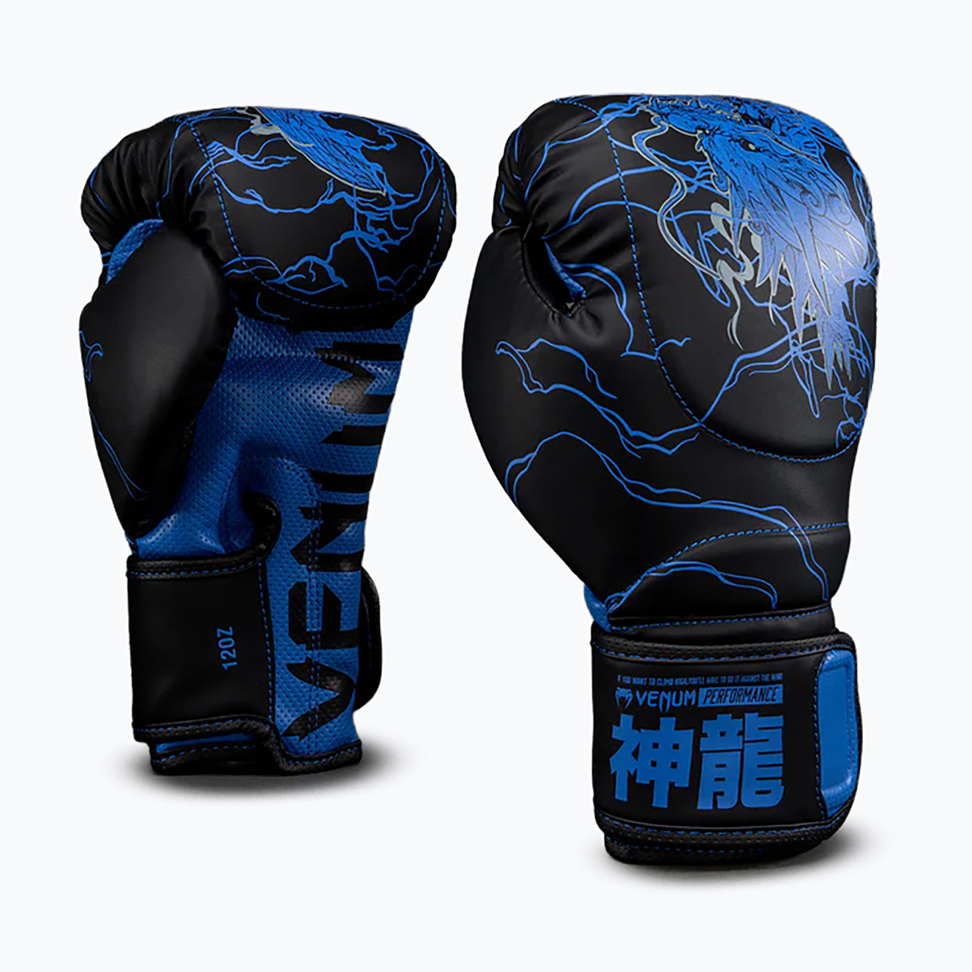 Mănuși de box Venum Thunder Dragon Boxing black/royal blue