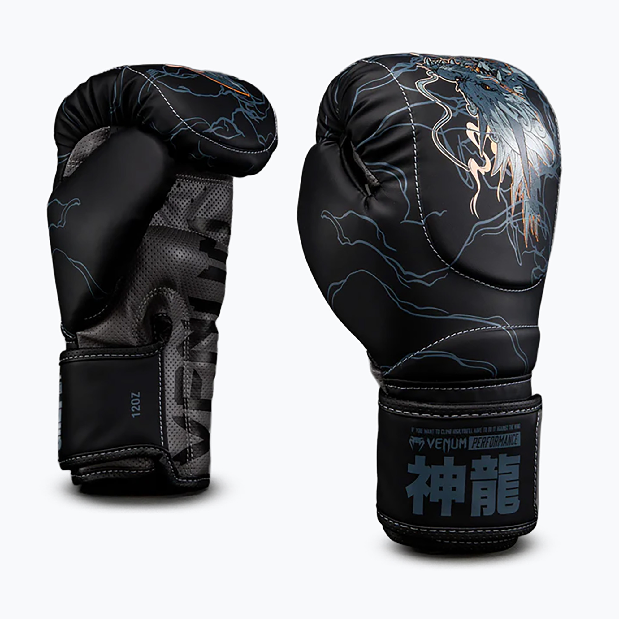 Mănuși de box Venum Thunder Dragon Boxing black/grey/copper