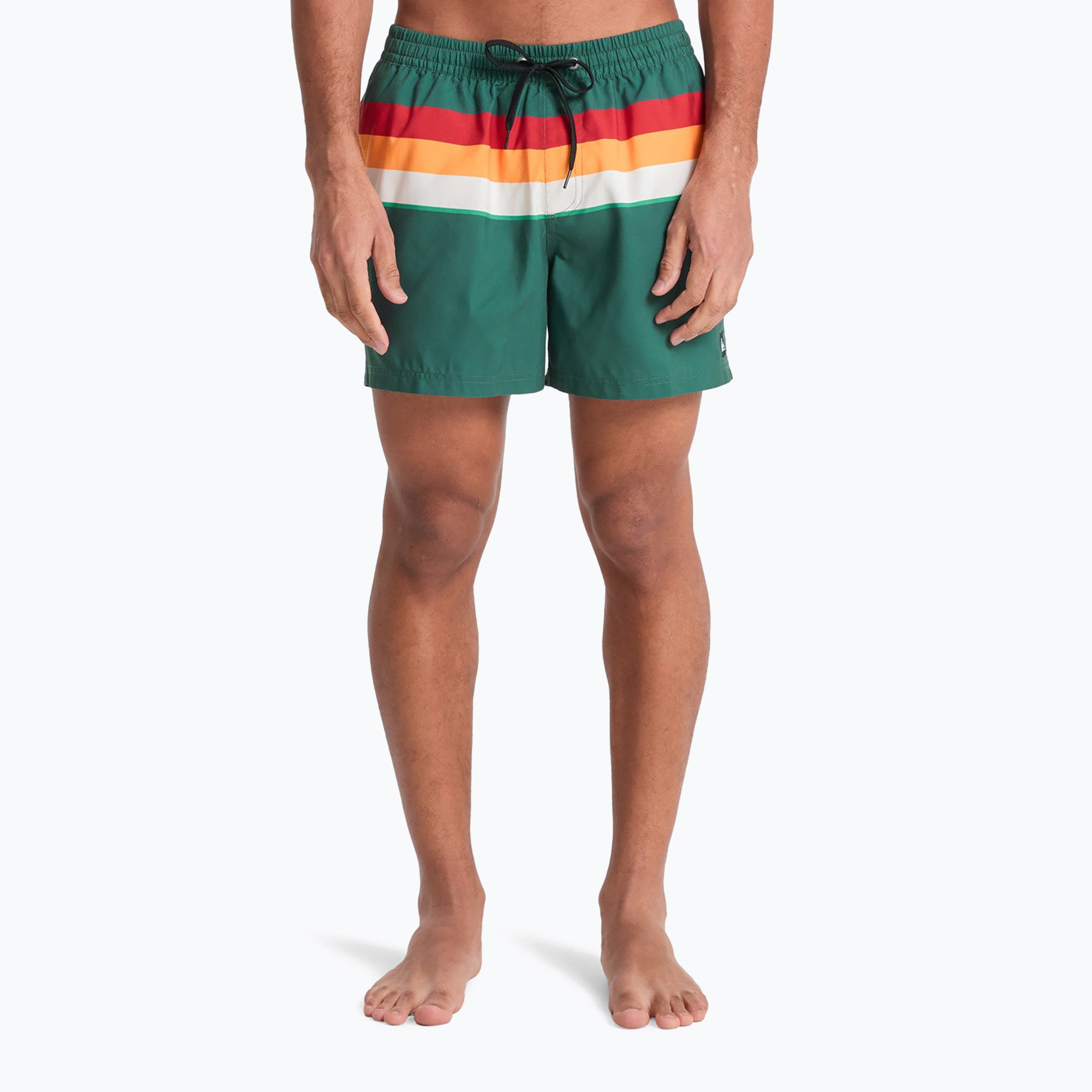 Szorty kąpielowe męskie Quiksilver Everyday Printed Volley 15