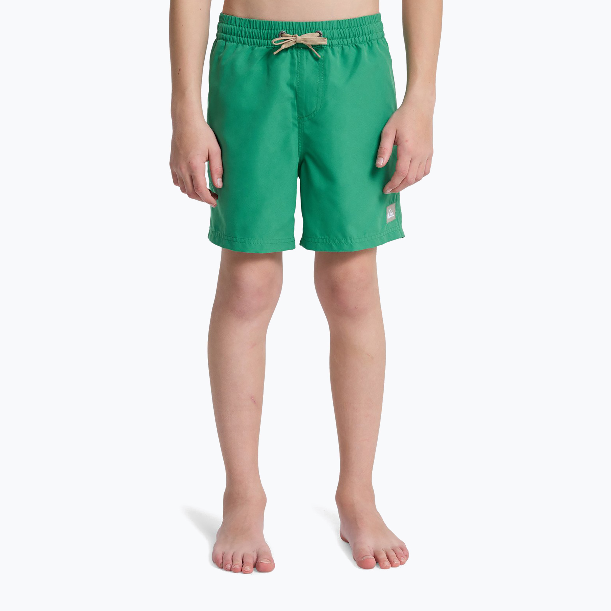 Детски бански шорти Quiksilver Everyday Volley 14“ leprechaun