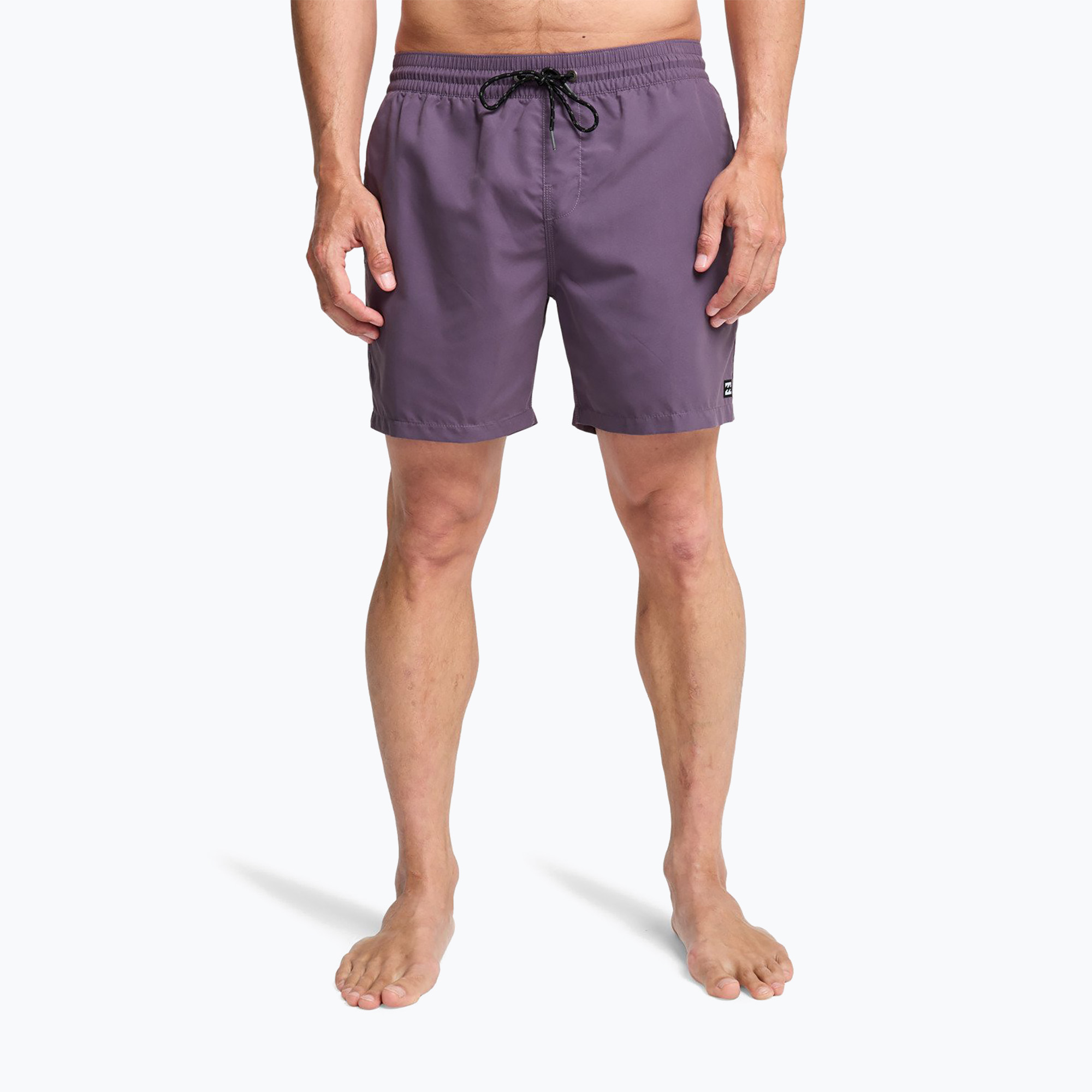 Șorturi de baie pentru bărbați Billabong All Day Layback dusty grape