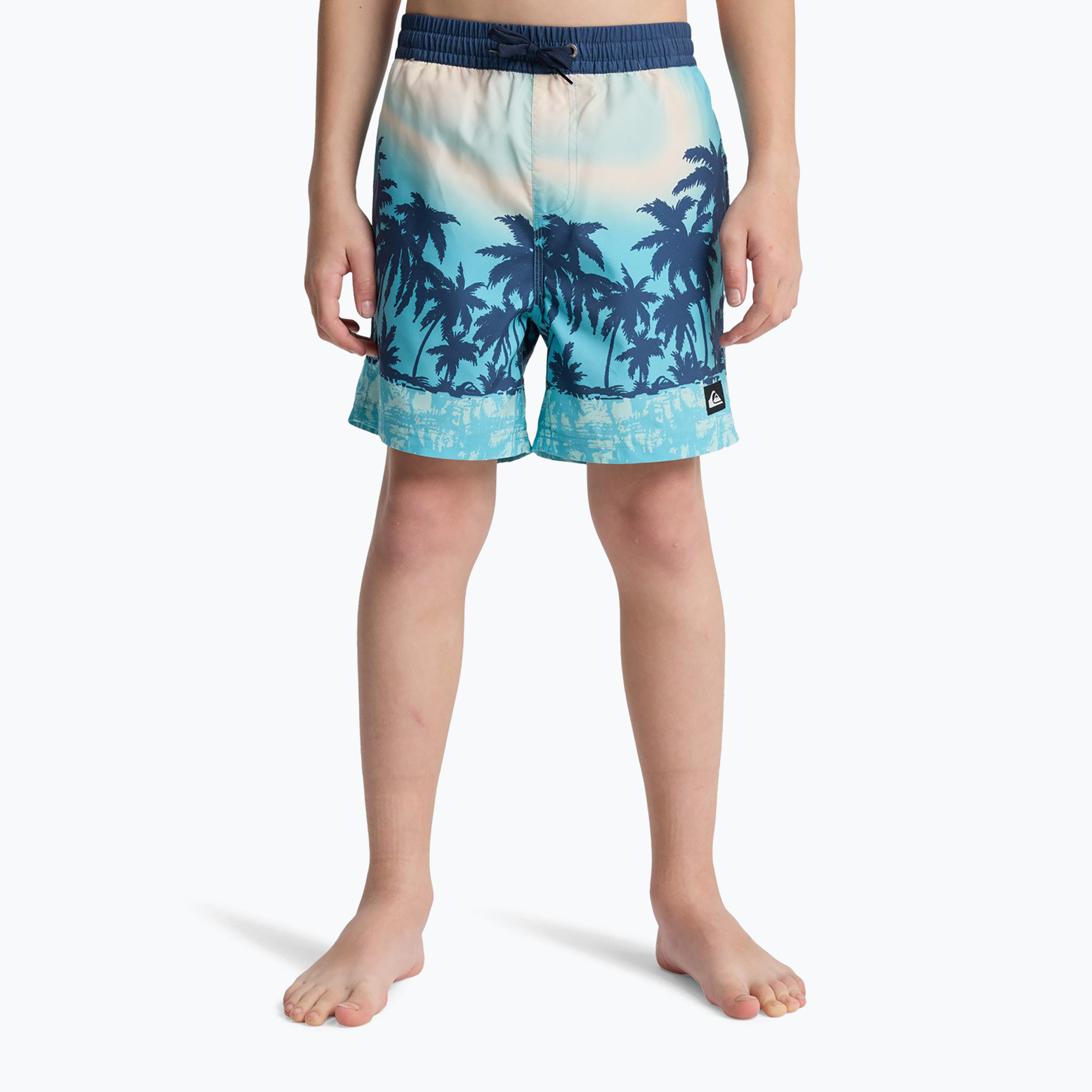 Szorty kąpielowe dziecięce Quiksilver Everyday Printed Volley 14