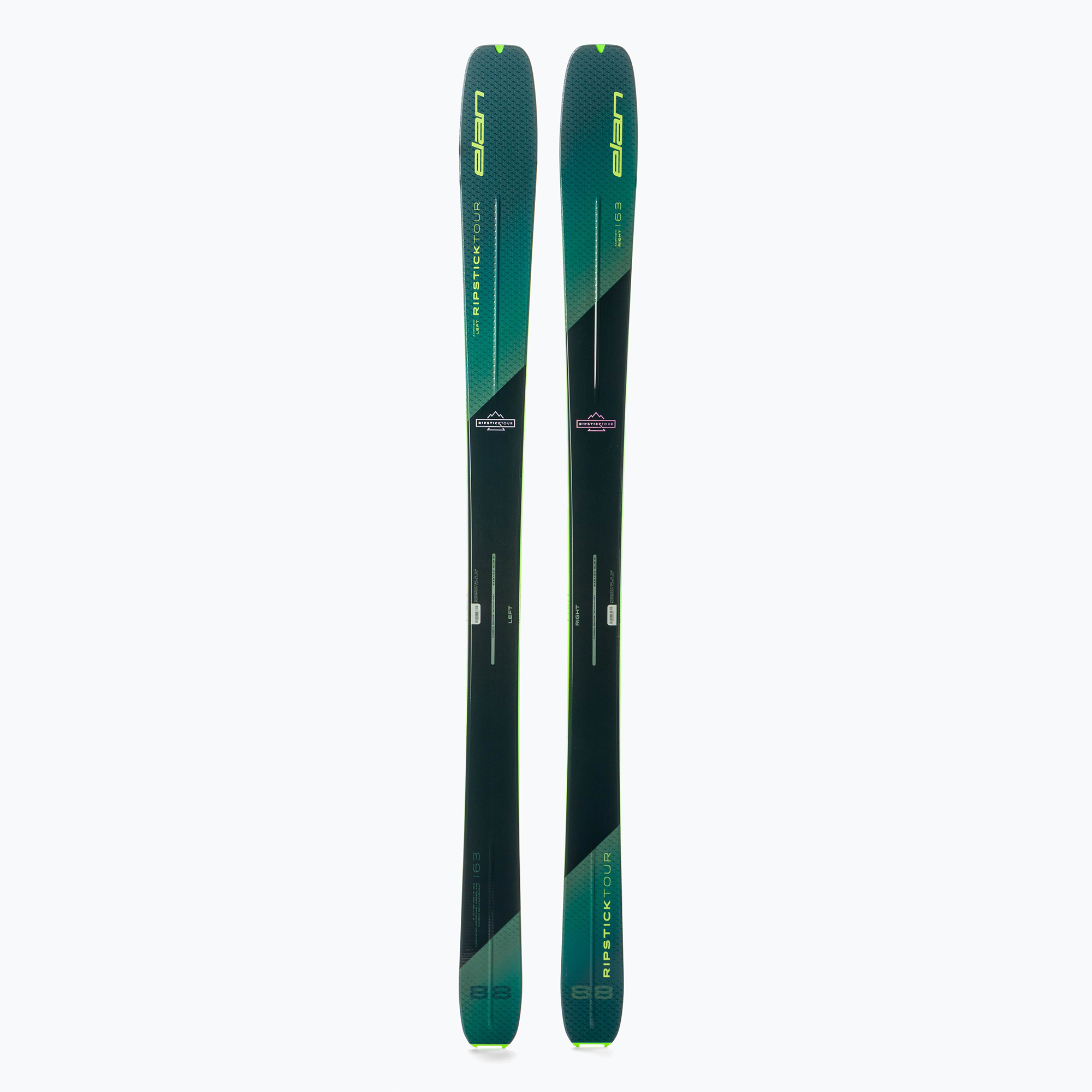 Sci Elan Ripstick Tour 88 verde petrolio/verde