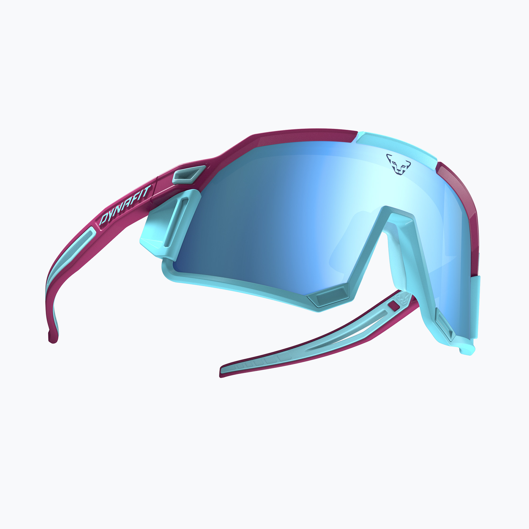 Okulary przeciwsłoneczne Dynafit Sky Evo beetred/silvretta cat 4 