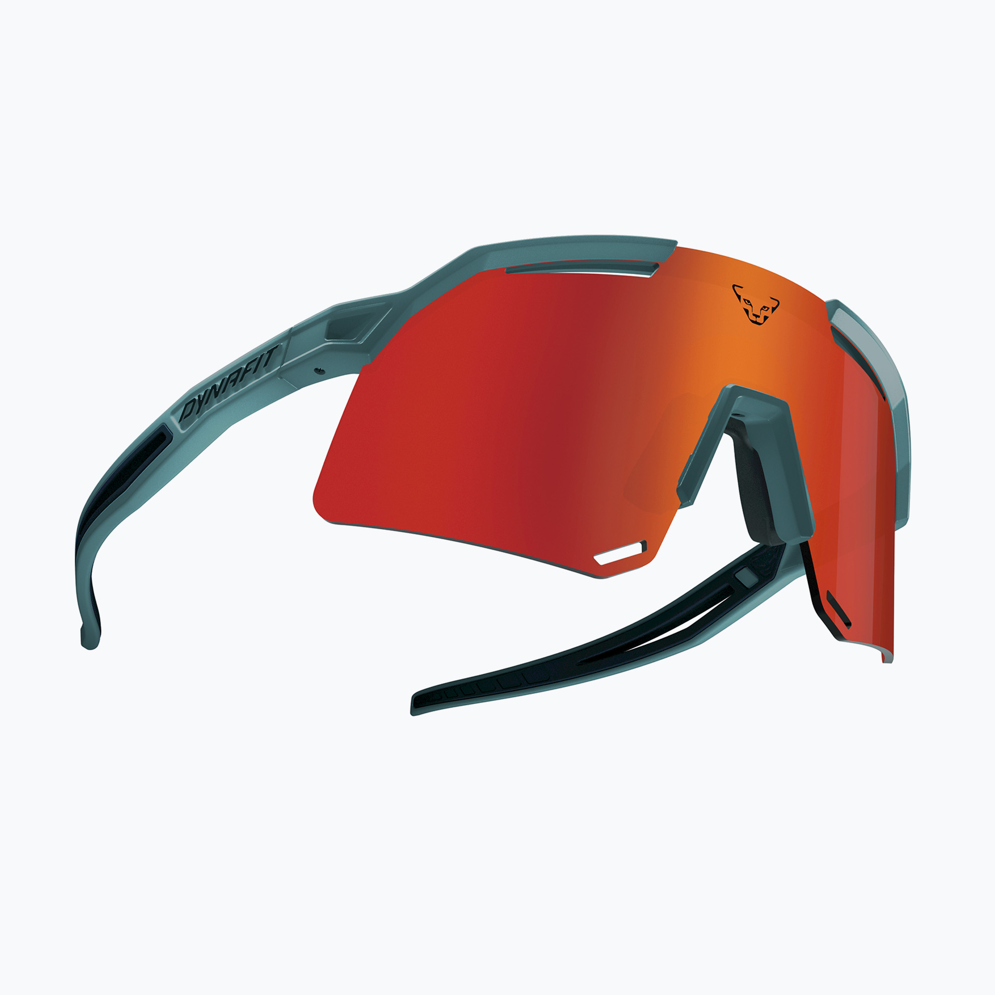 Okulary przeciwsłoneczne Dynafit Ultra Evo storm blue/blueberry 