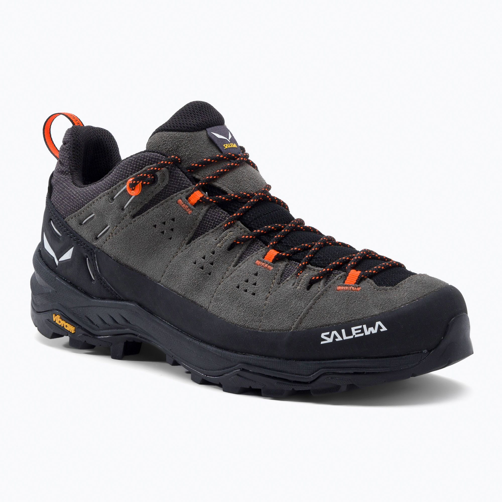Buty trekkingowe męskie Salewa Alp Trainer 2 GTX bungee cord/black 