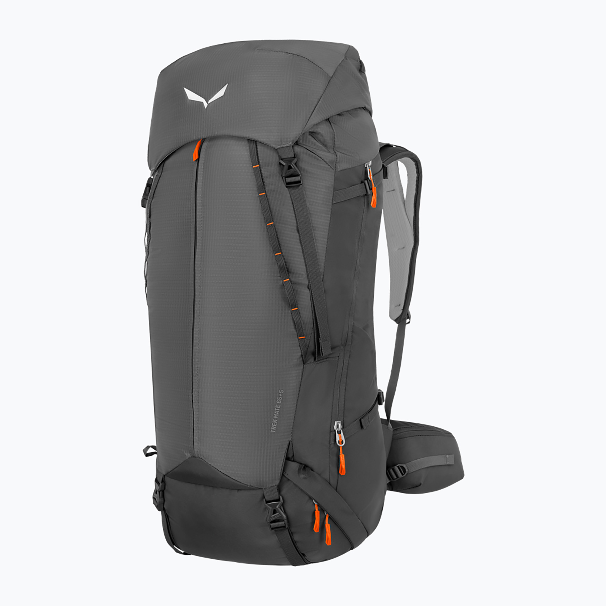 Plecak trekkingowy Salewa Trek Mate 65+5 l quiet shade 