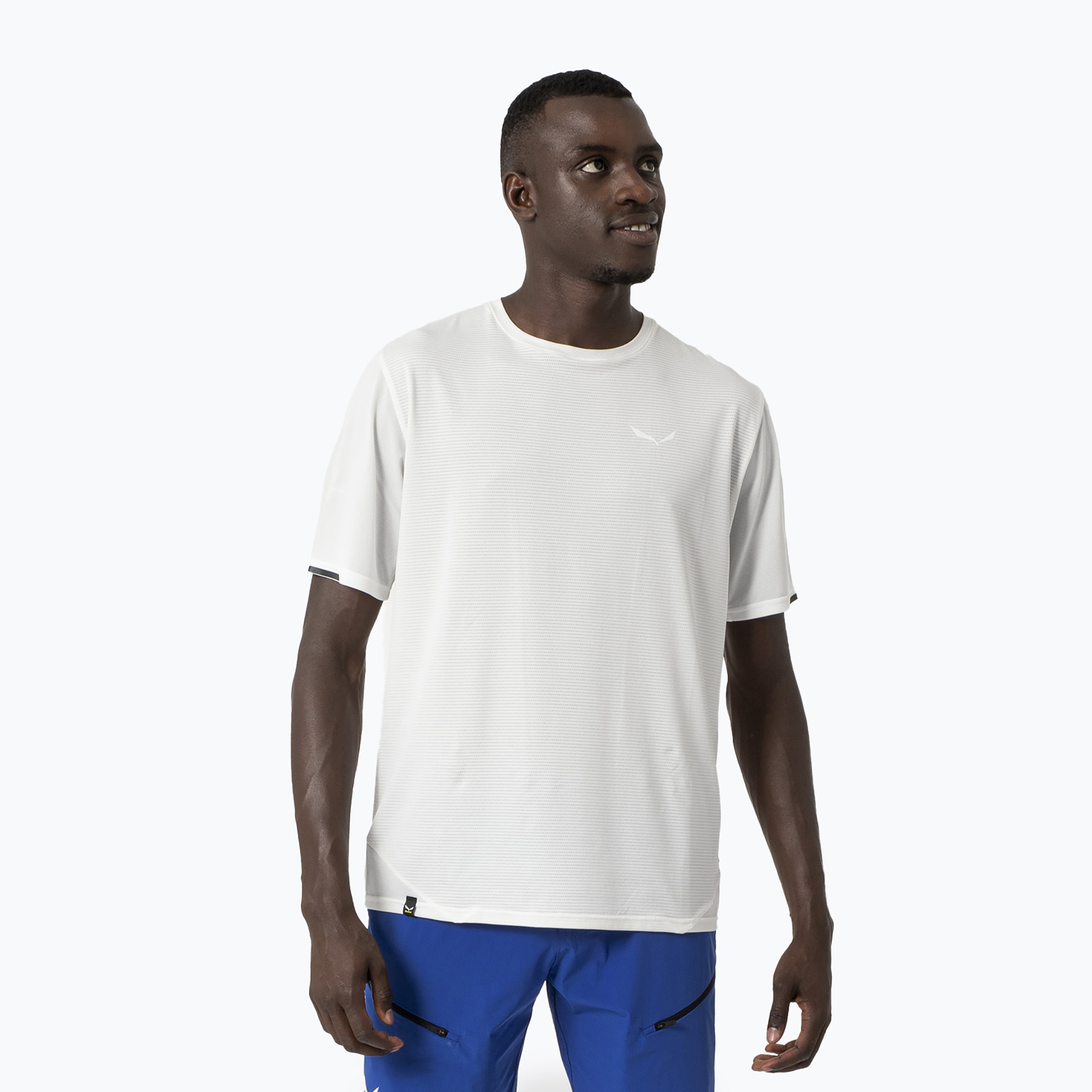 Koszulka męska Salewa Pedroc Dry Mesh white 