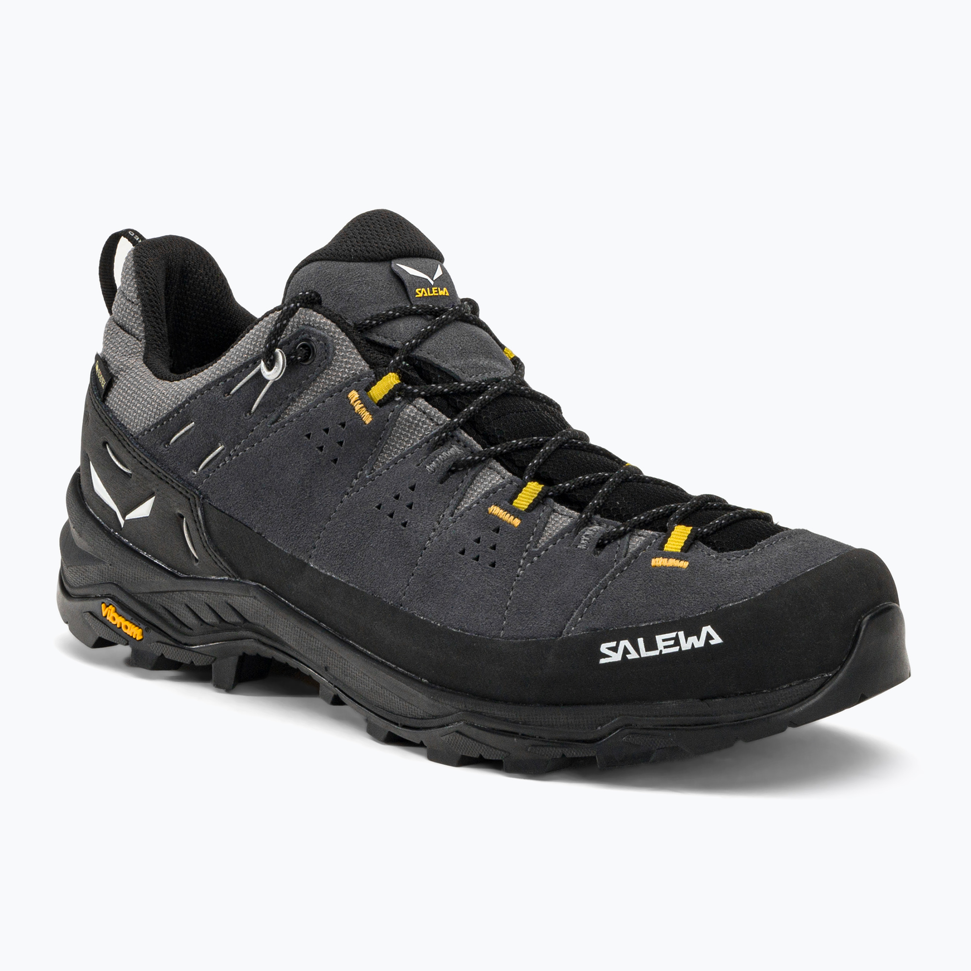 Buty trekkingowe męskie Salewa Alp Trainer 2 GTX onyx/black 