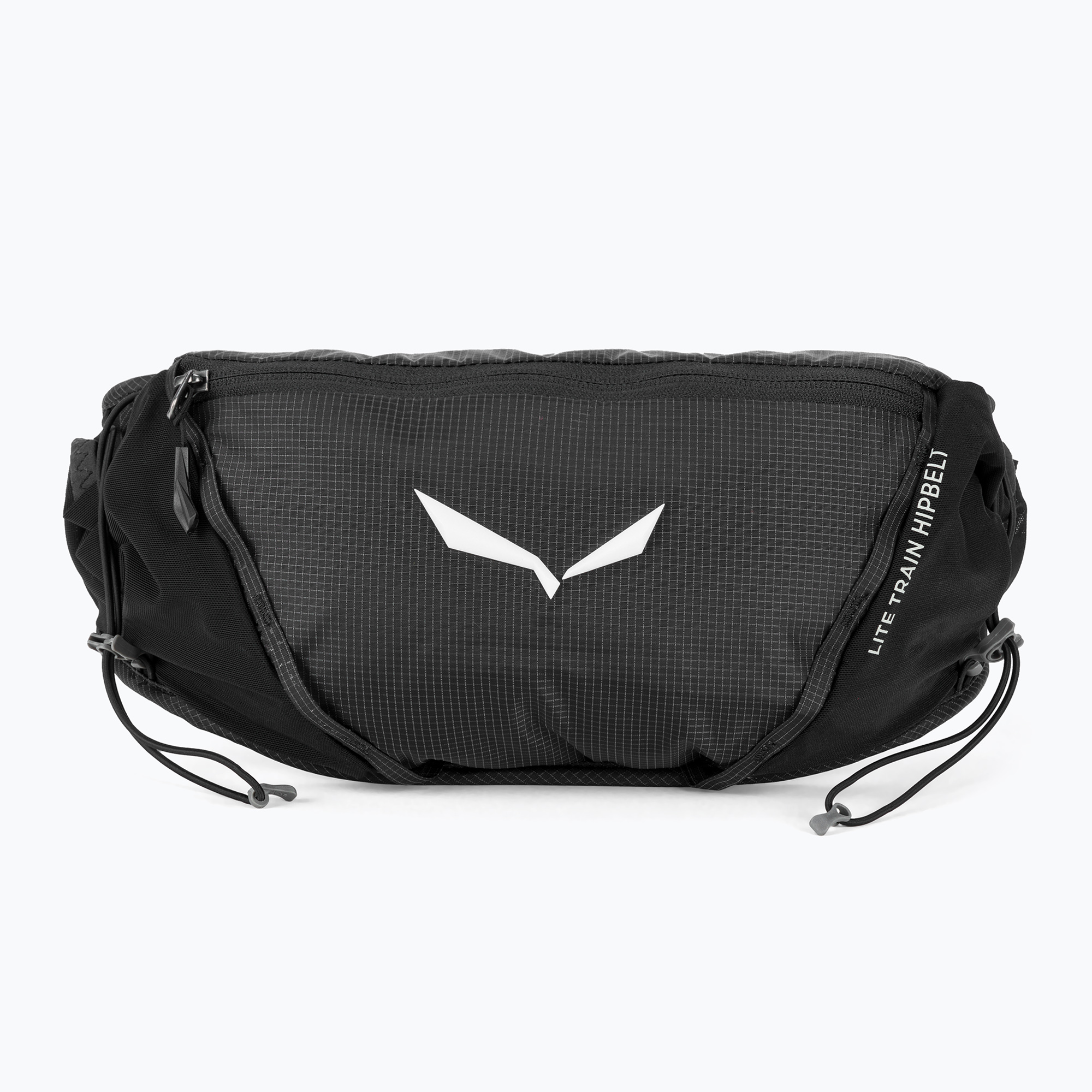 Saszetka nerka Salewa Lite Train Hipbelt black 