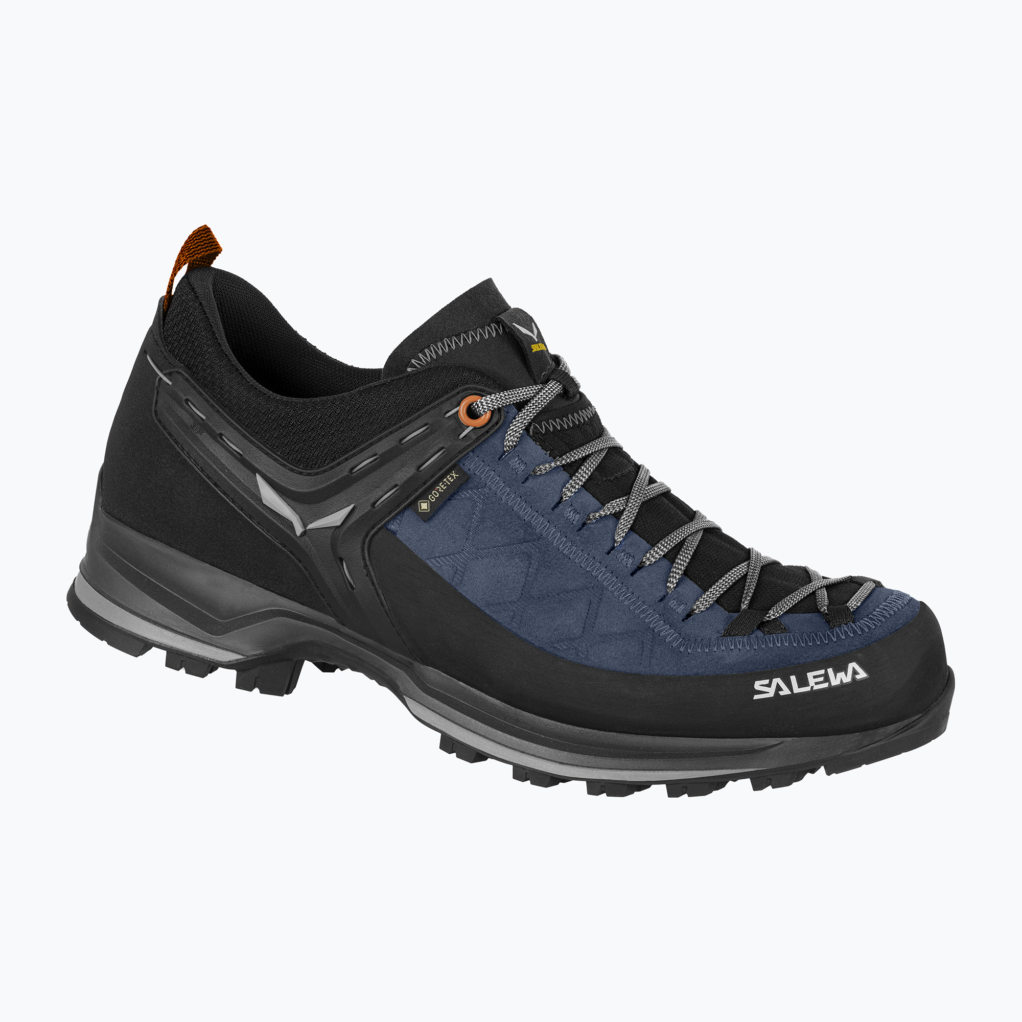 Buty trekkingowe męskie Salewa MTN Trainer 2 GTX blue seal/black 