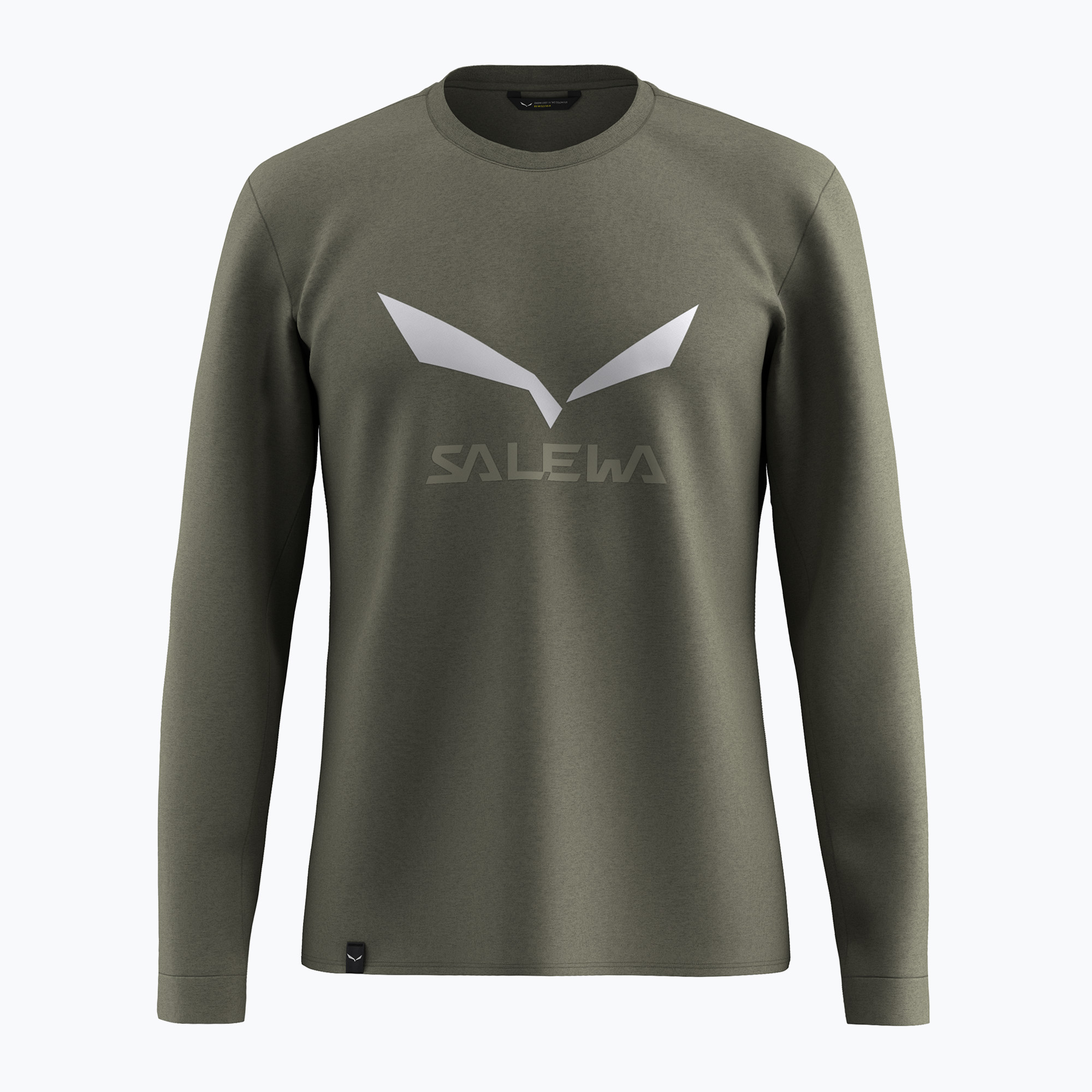 Longsleeve męski Salewa Solidlogo Dry faded green 