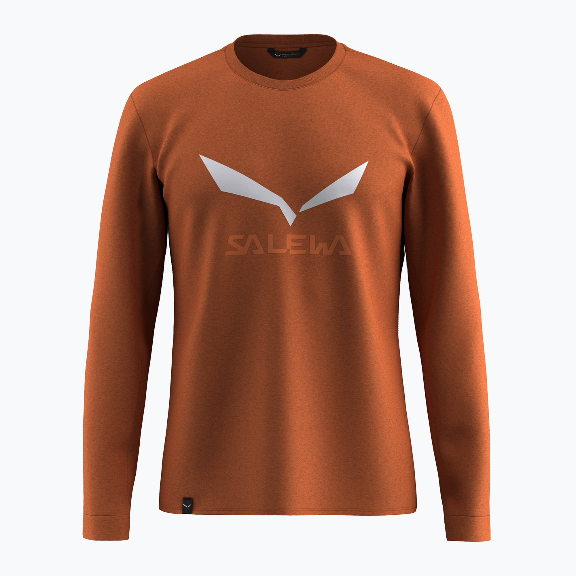 Longsleeve męski Salewa Solidlogo Dry bombay brown 