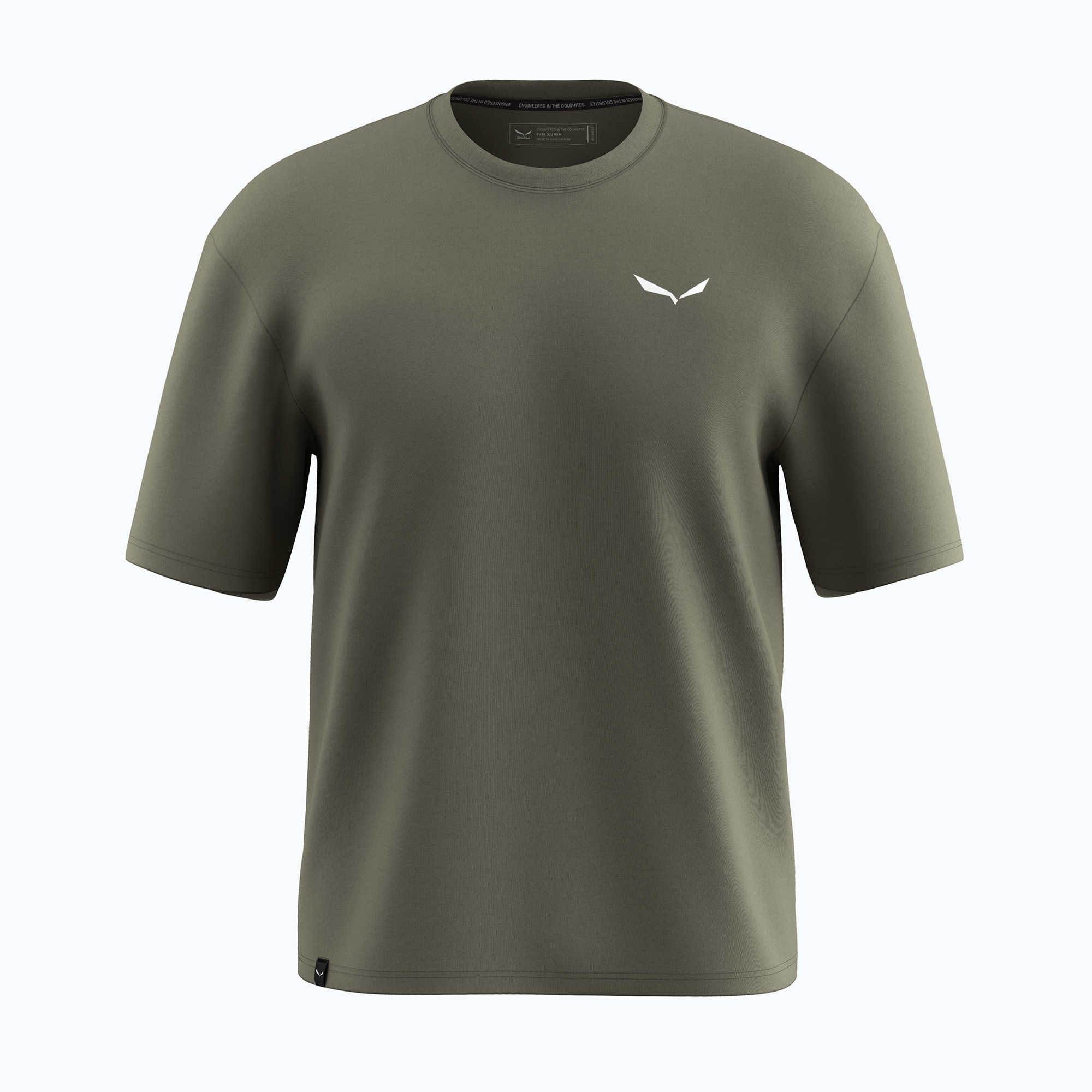 Koszulka męska Salewa Eagle Glacier Loose faded green 