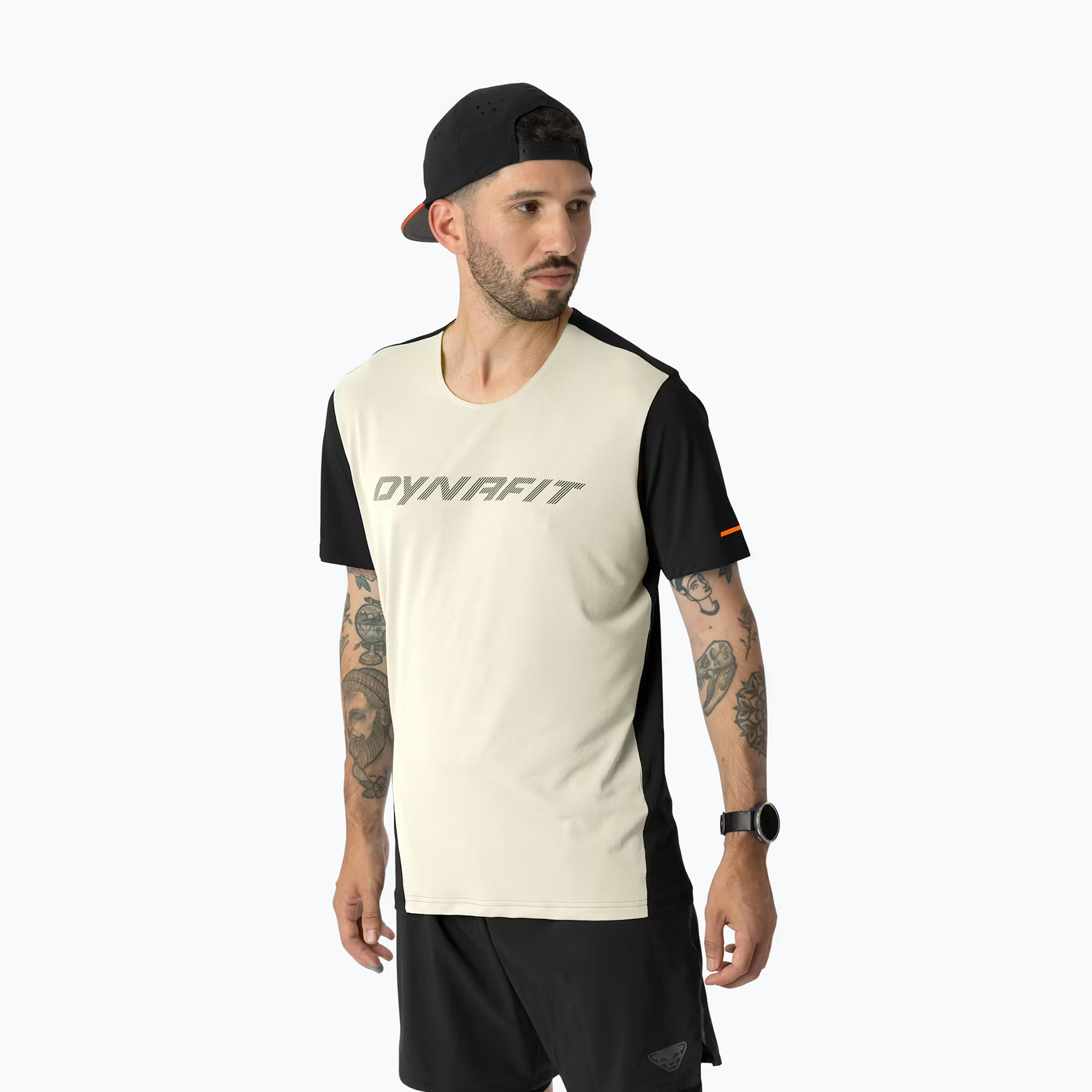 Koszulka do biegania męska DYNAFIT Alpine 2 overcast 