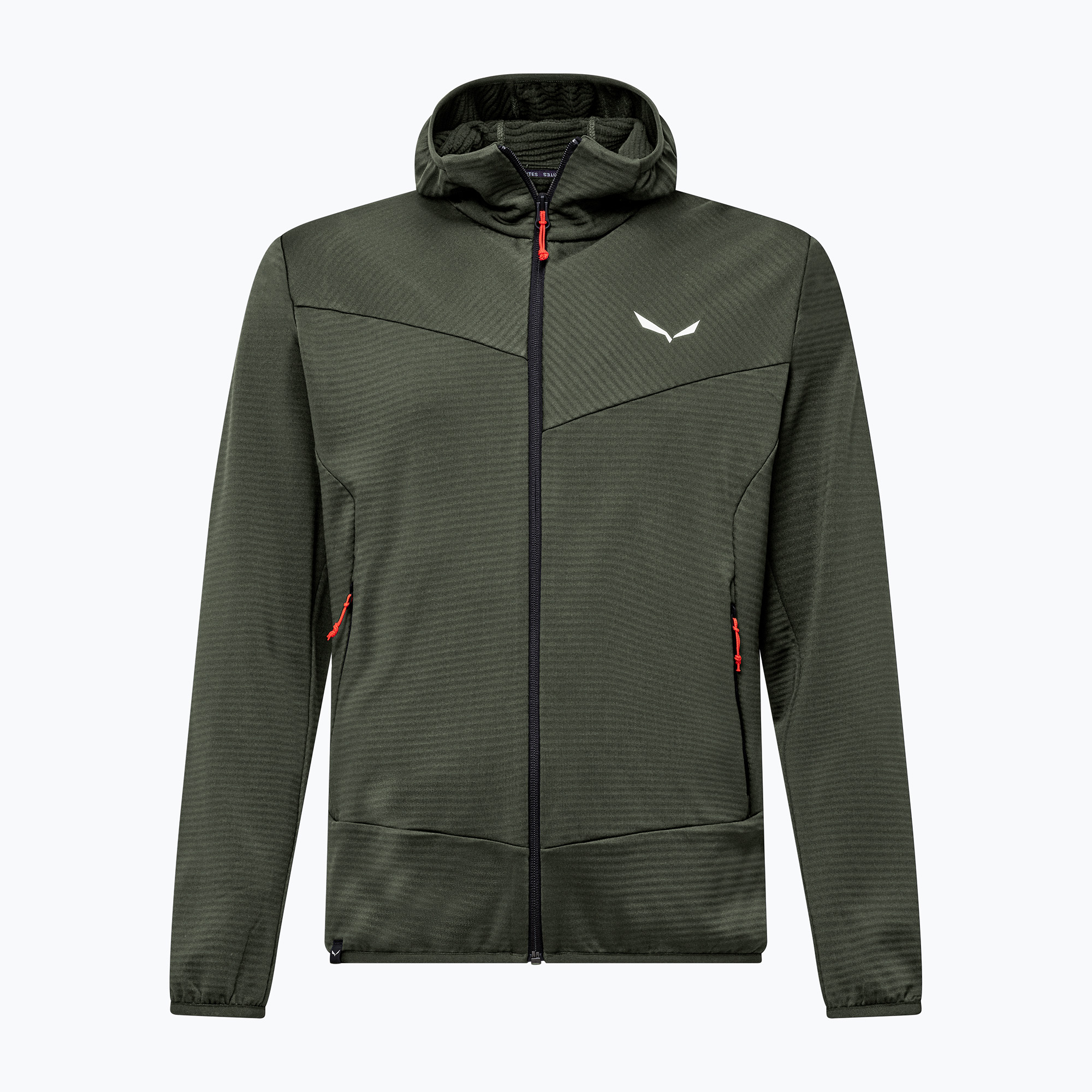 Bluză de trekking pentru bărbați Salewa Puez Altavia PL HD Faded Green