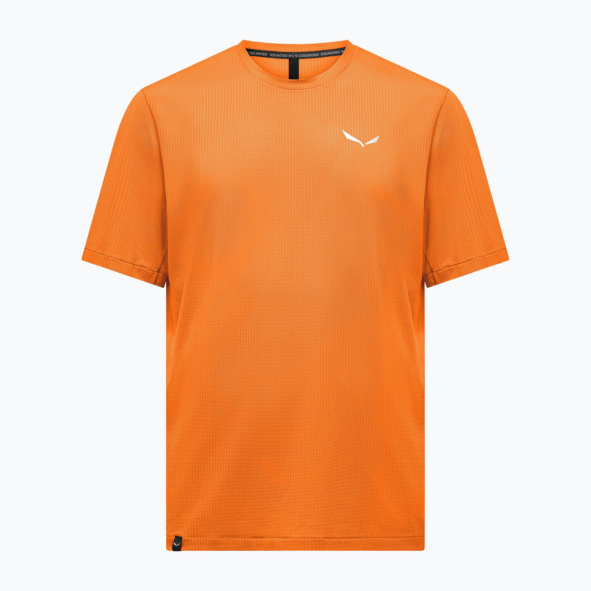 Мъжка тениска Salewa Pedroc Dry Light turmeric