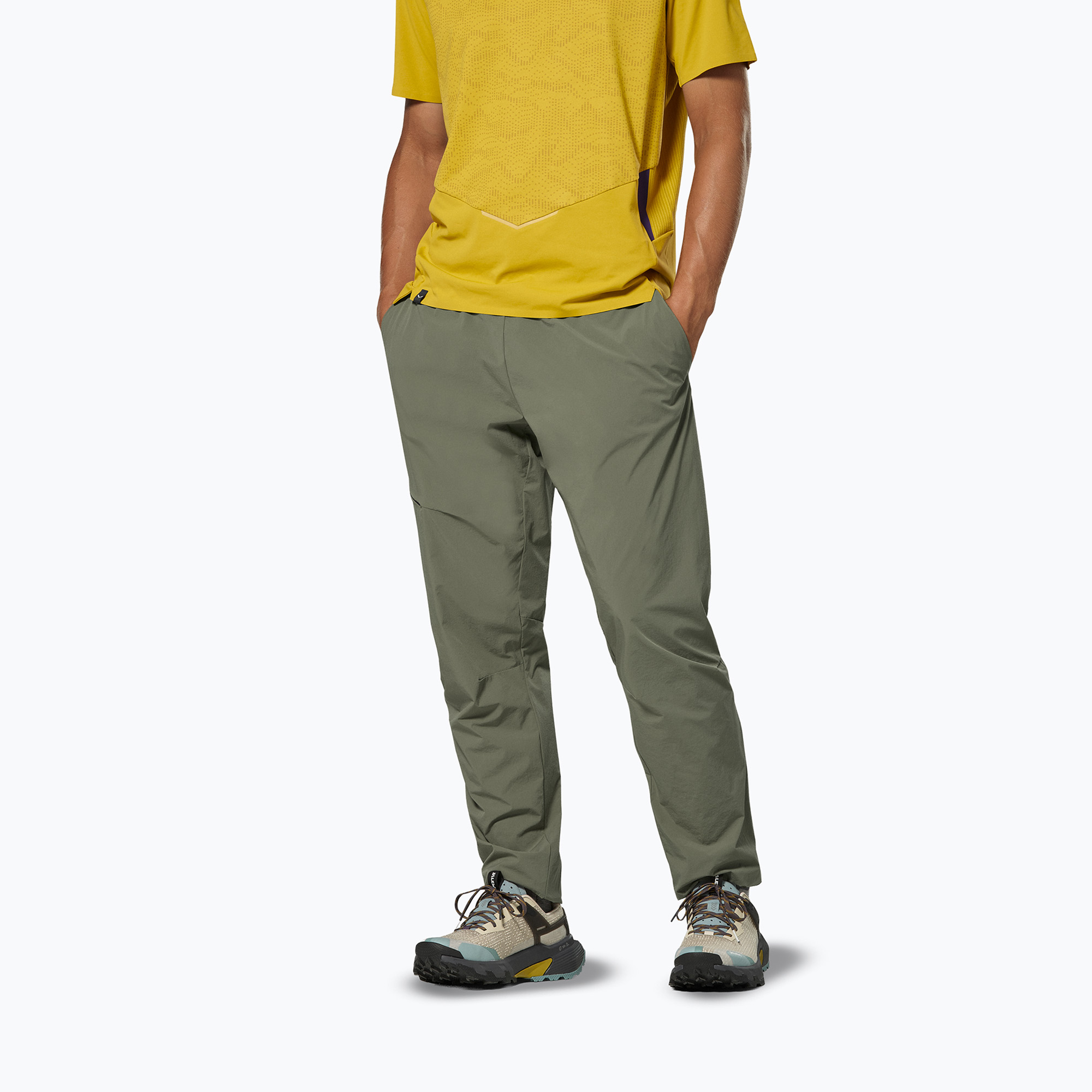 Мъжки панталони за трекинг Salewa Pedroc 3 DST Light faded green