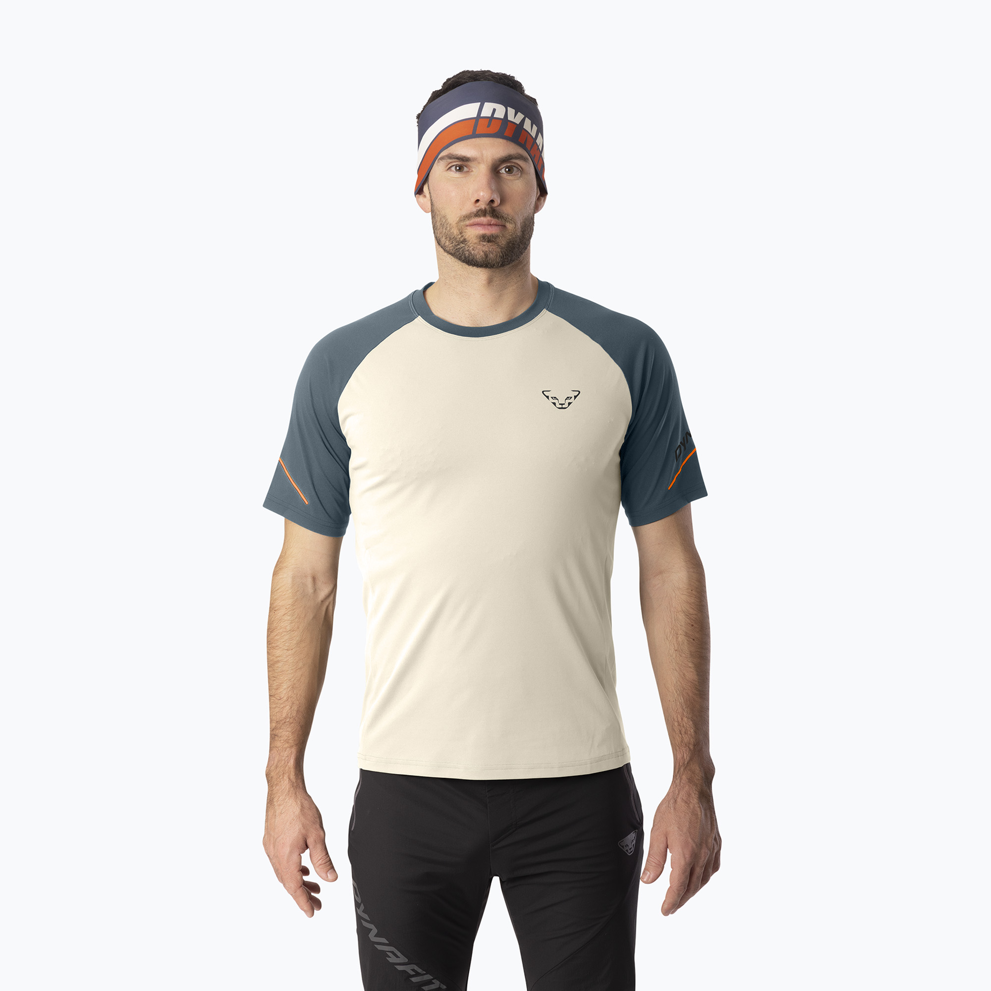 Мъжка тениска за бягане DYNAFIT Alpine Pro overcast/0720