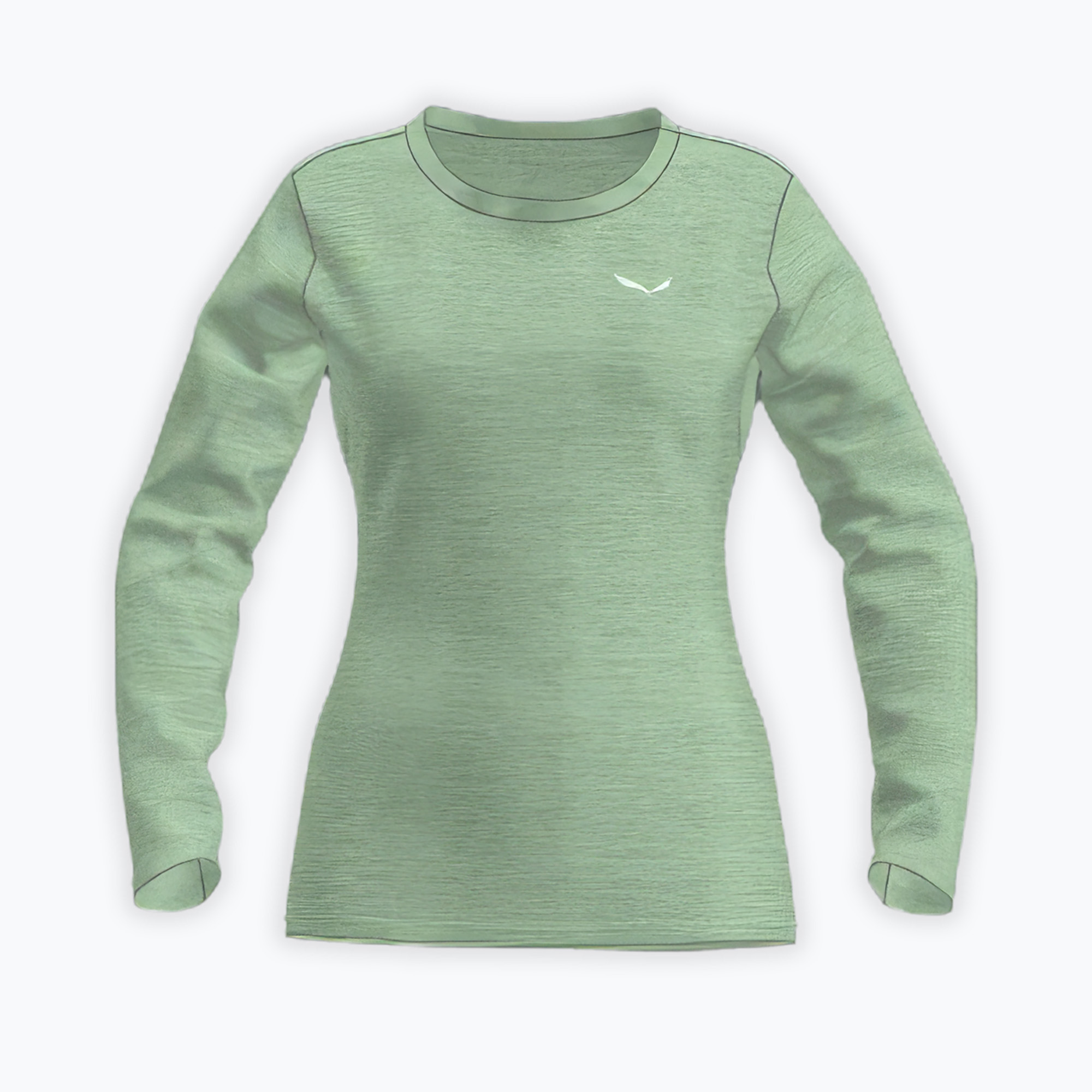 Dámske trekingové tričko longsleeve Salewa Puez Melange Dry pastel green melange