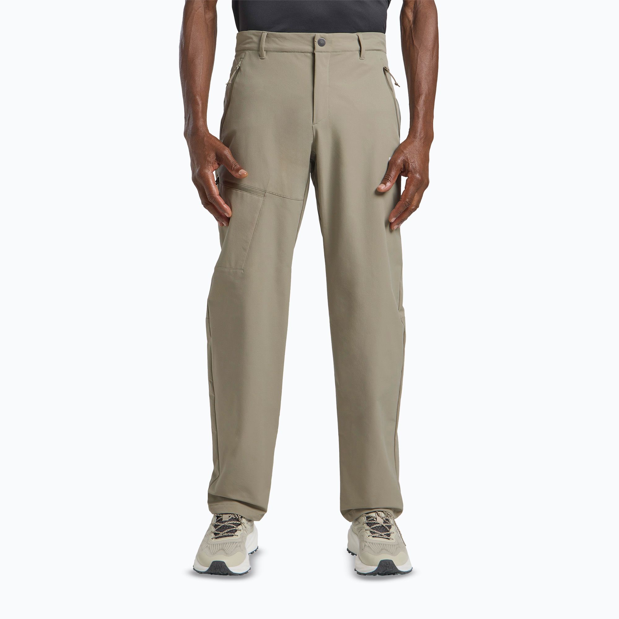 Spodnie trekkingowe męskie Jack Wolfskin Pico Trail stone 