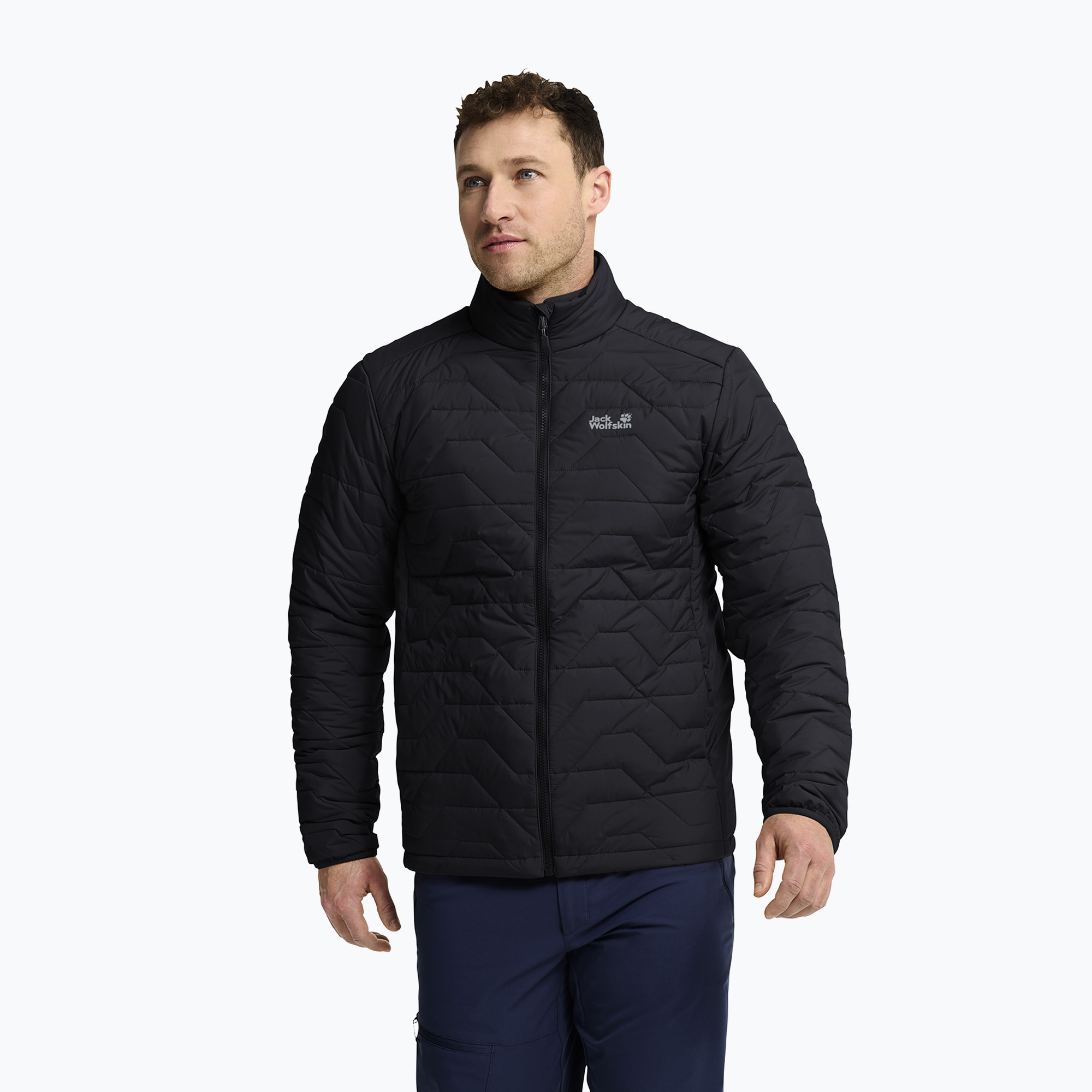 Мъжко ватирано яке Jack Wolfskin Flextrek Ins black