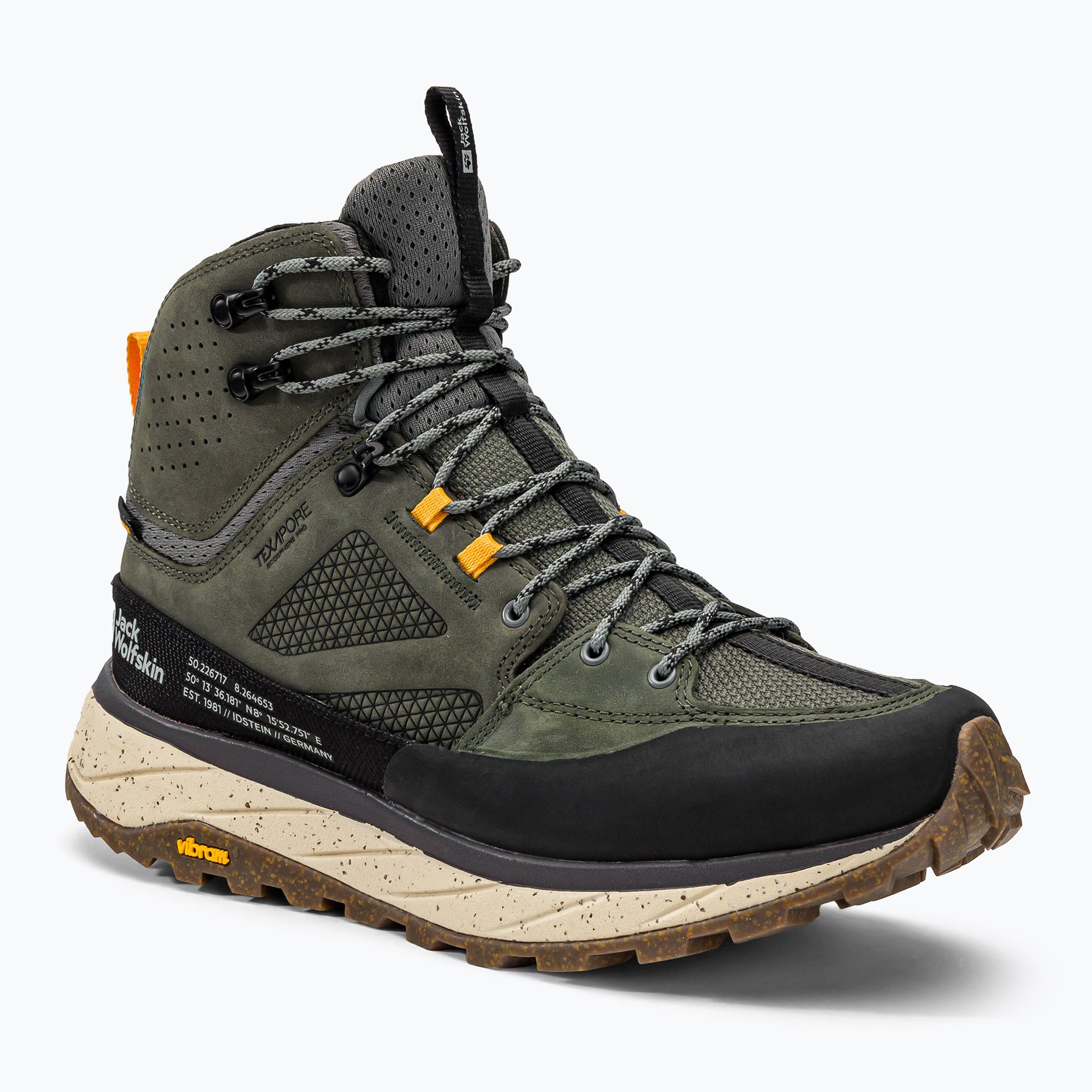 Buty trekkingowe męskie Jack Wolfskin Terraquest Texapore Mid gecko green 